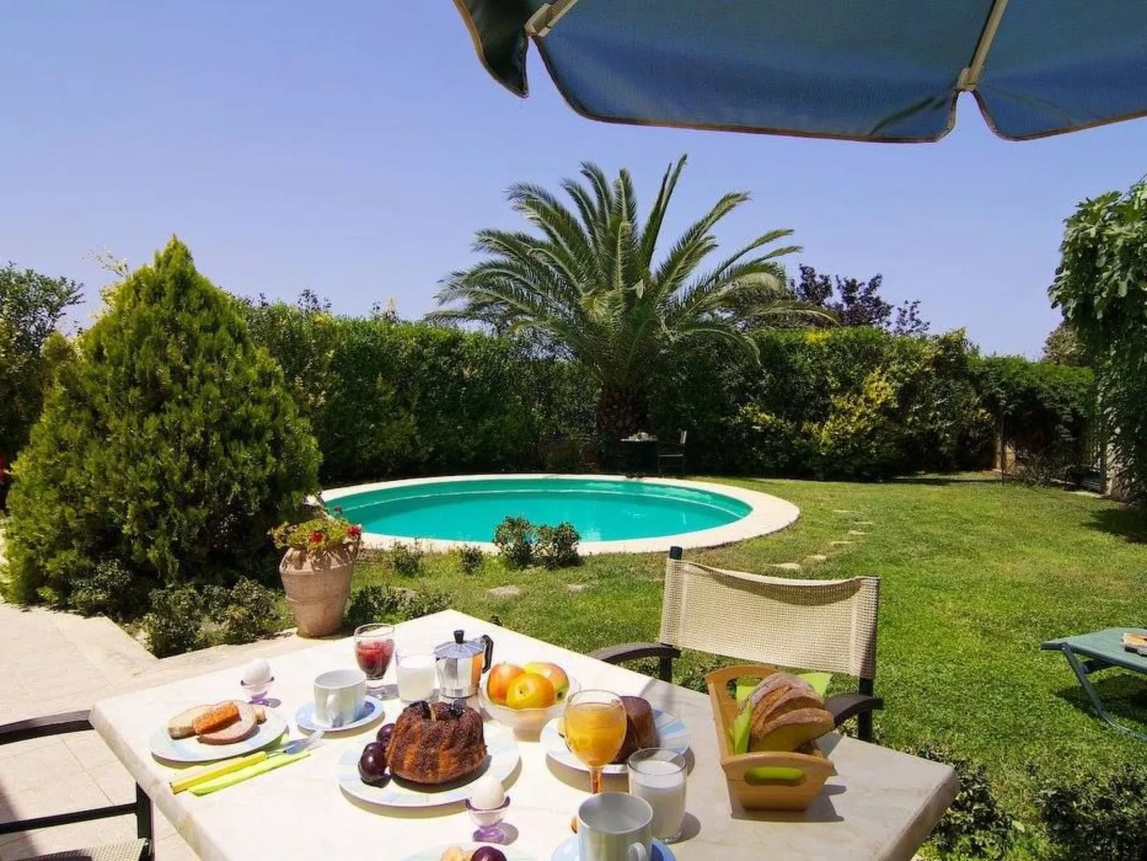 Erato-Image-tags.info