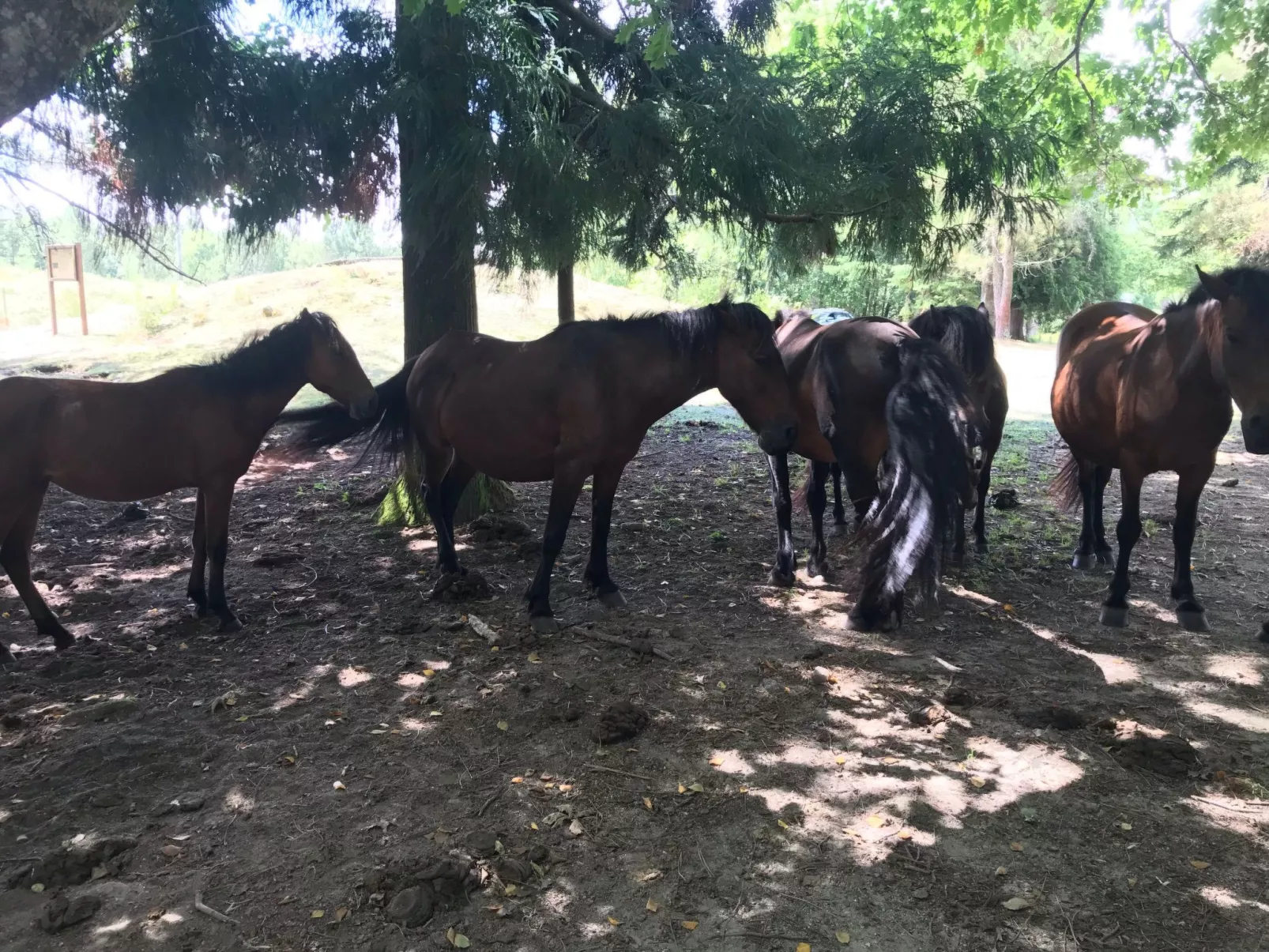 Casas das Olas 3 - Großartige Aussicht, 2 Pools, idealer Ort zum Entspannen und-Image-tags.info