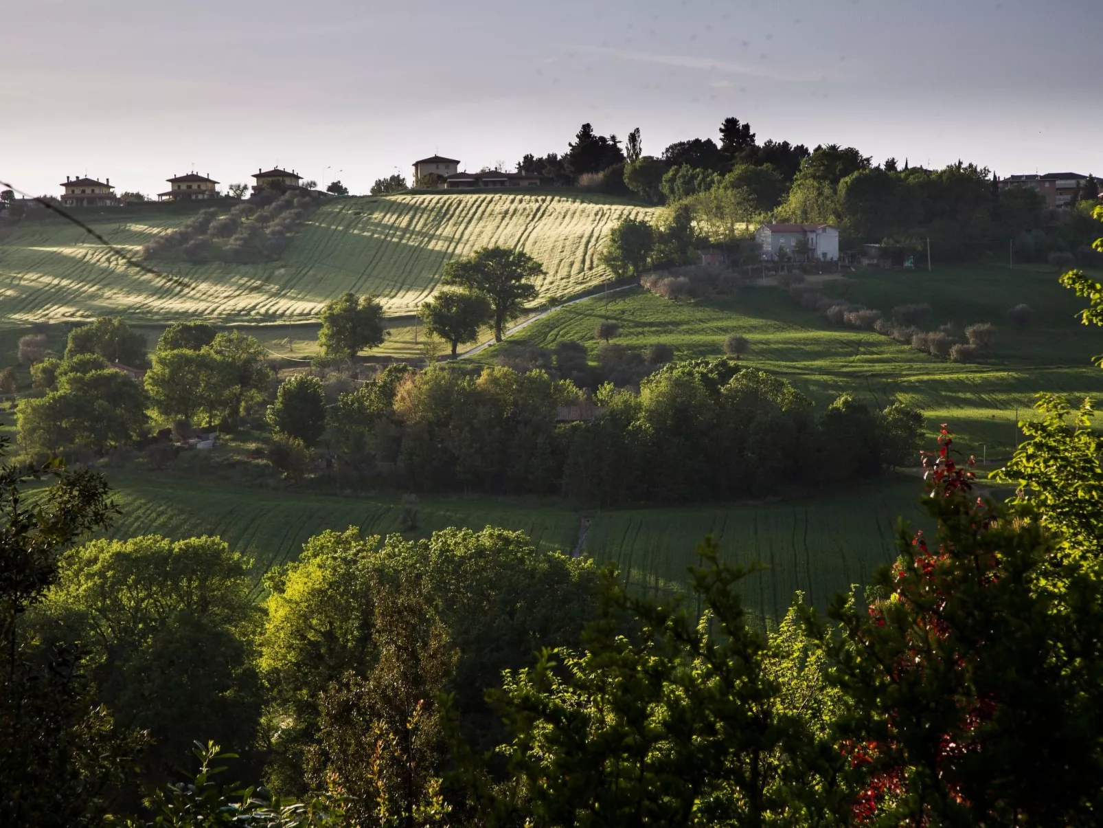 Haus in Ostra mit privatem Pool-Buiten