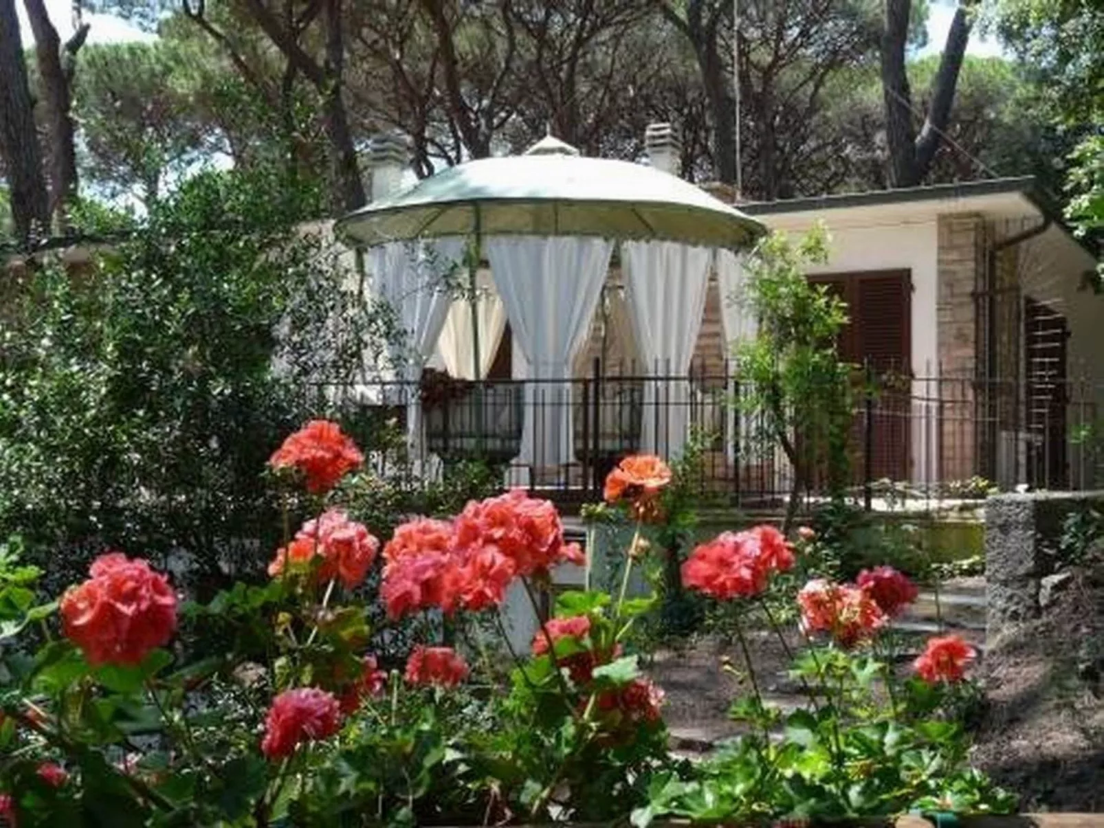 'Azalea' mit Terrasse-Buiten