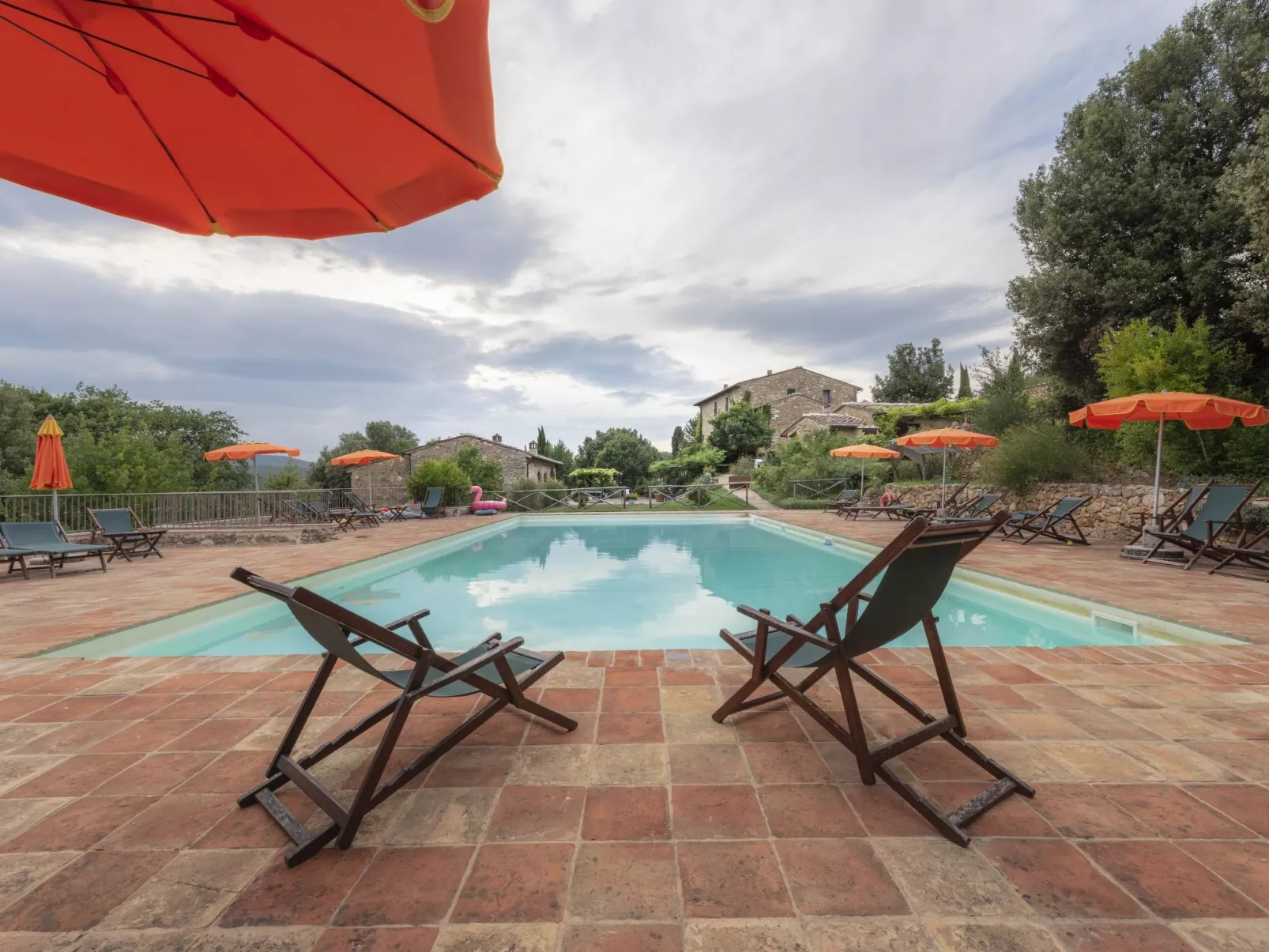 Maskendickkopf-Gimpel-Image-tags.info