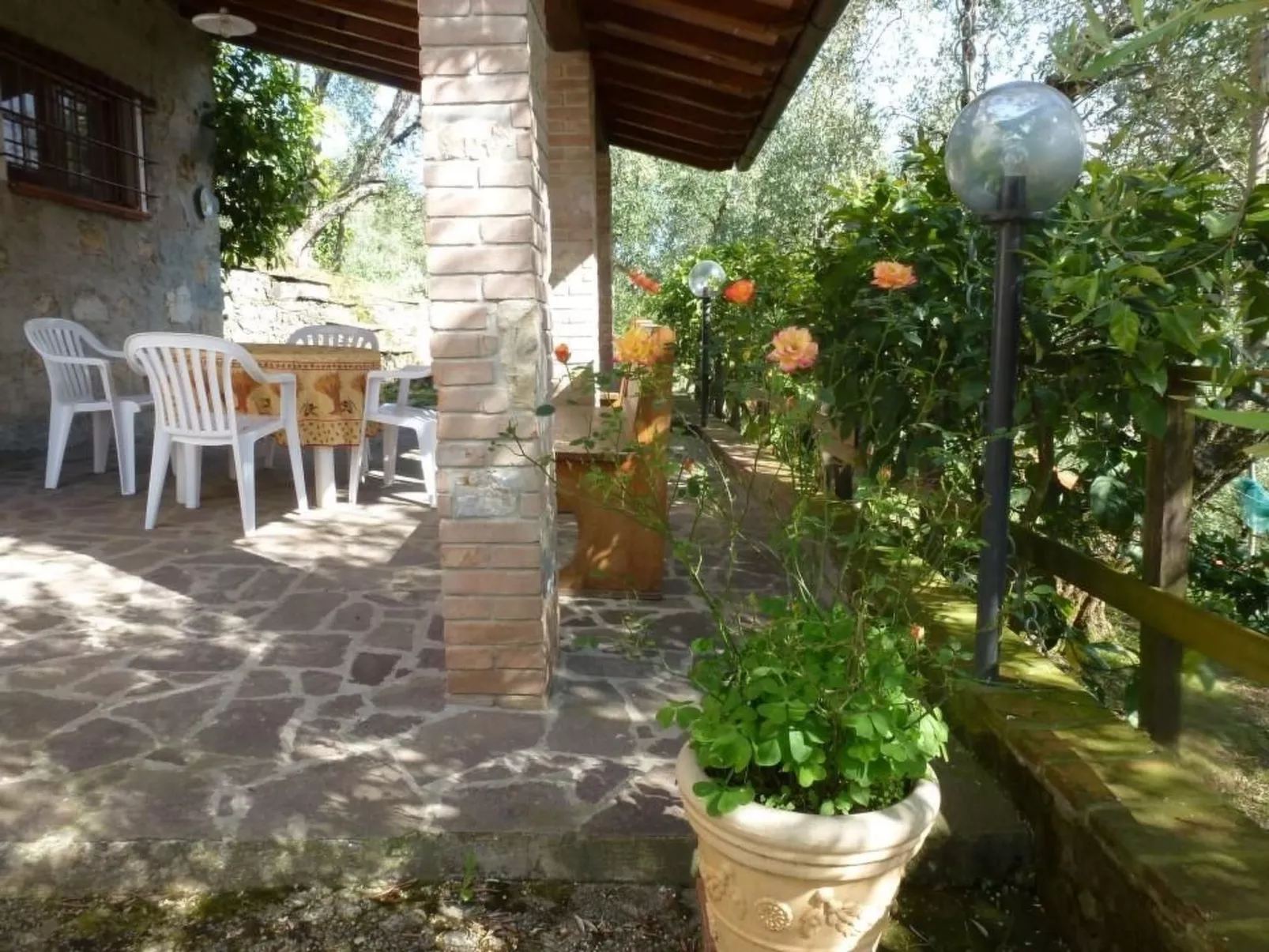 Rustico inmitten eines Olivenhainens-Image-tags.info