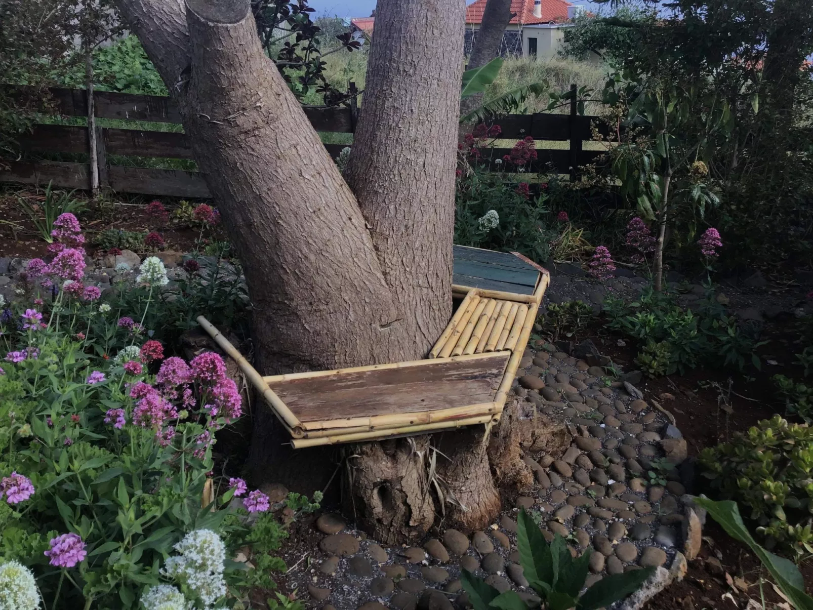 Klein-Norwegen-Image-tags.info