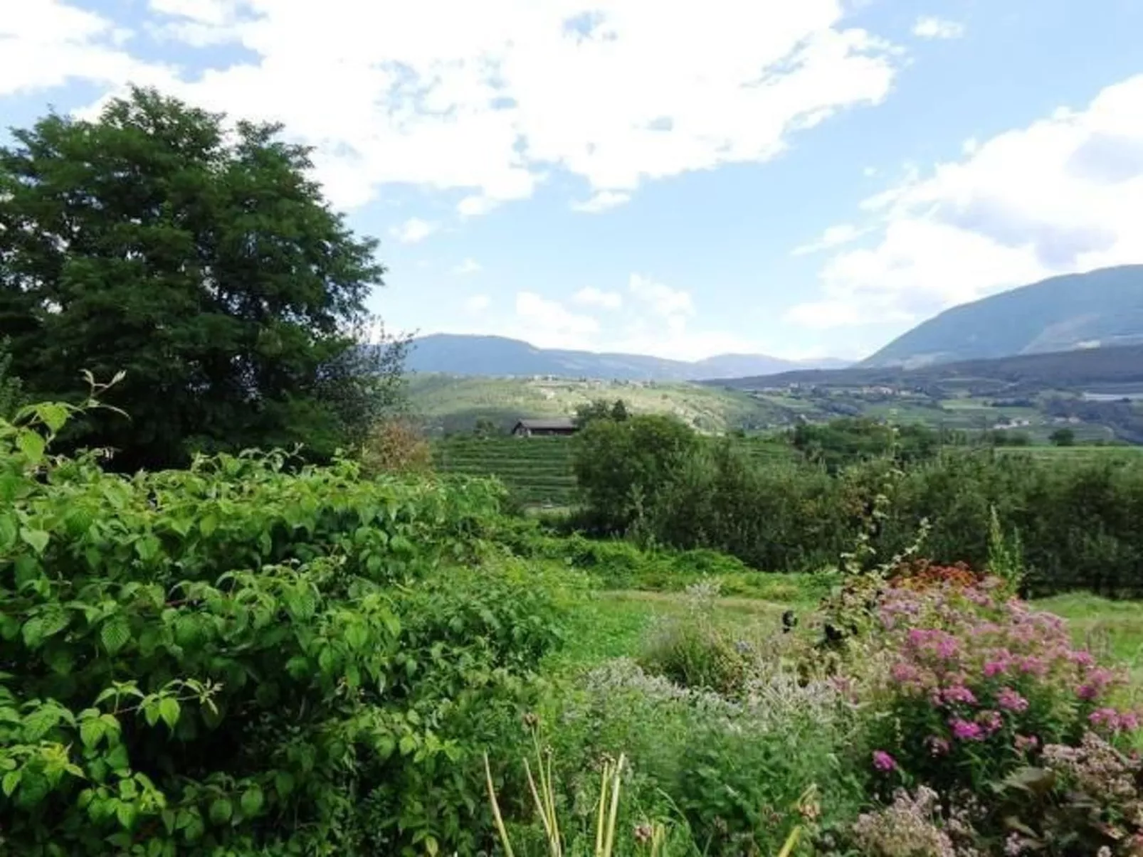 Mit Terrasse auf einem Bauernhof-Buiten