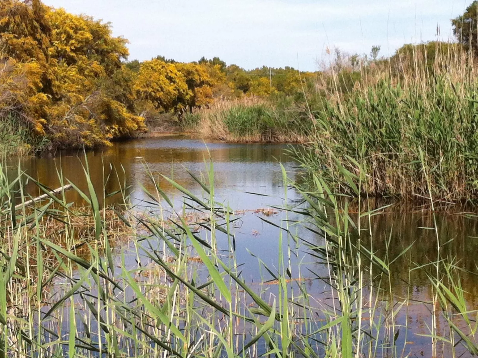 Gemütliches Haus in Scicli mit Panoramaterrasse-Binnen
