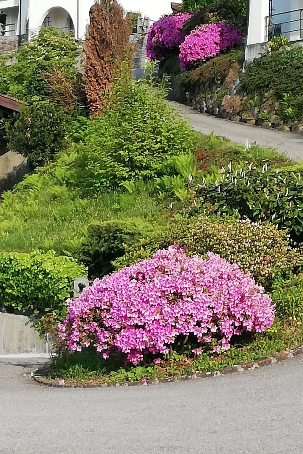 Residenza Viramonte - Casa Fiona, Wohnung 52 - Buiten