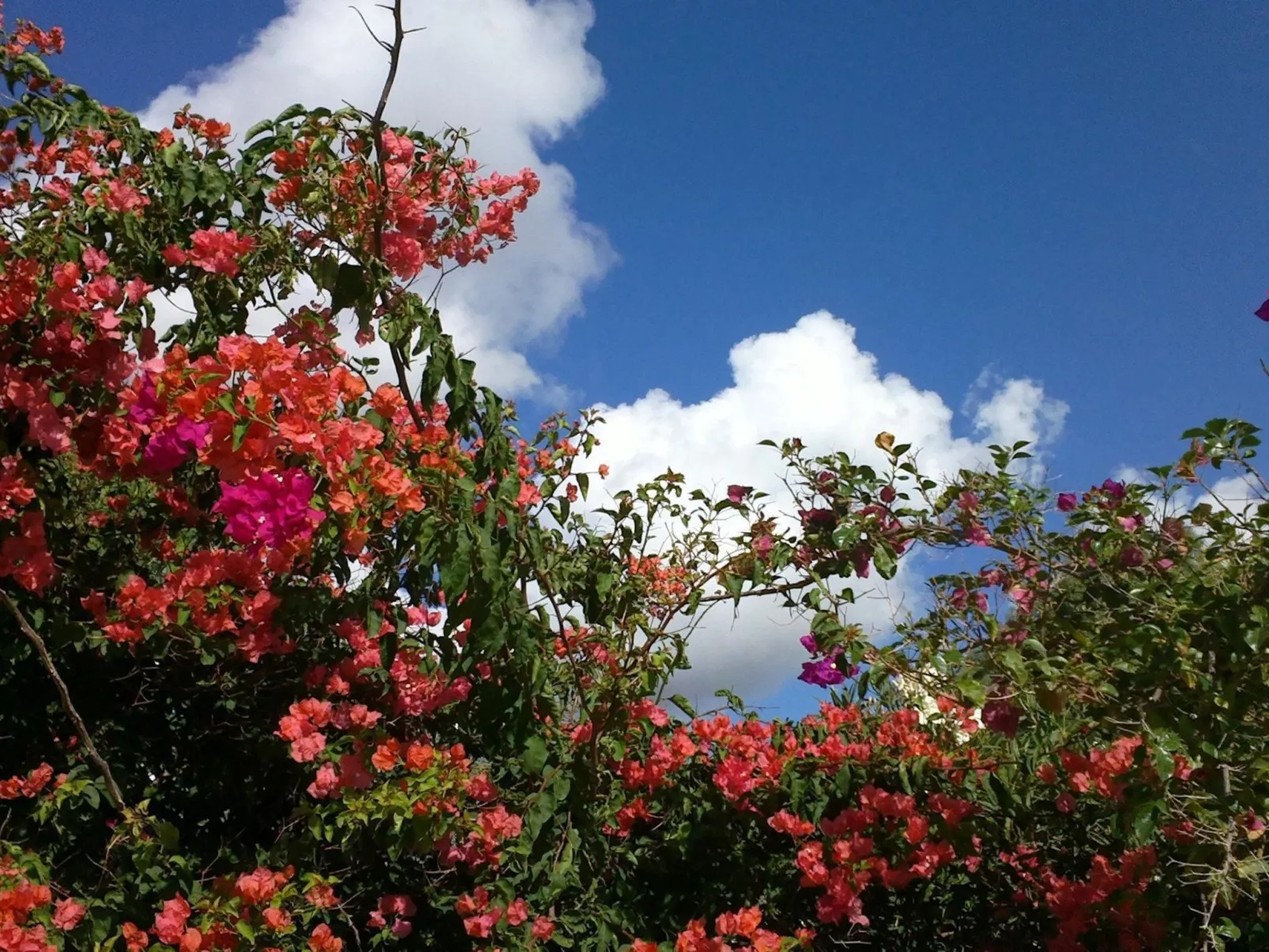Steinhaus mit Panoramadachterrasse-Binnen