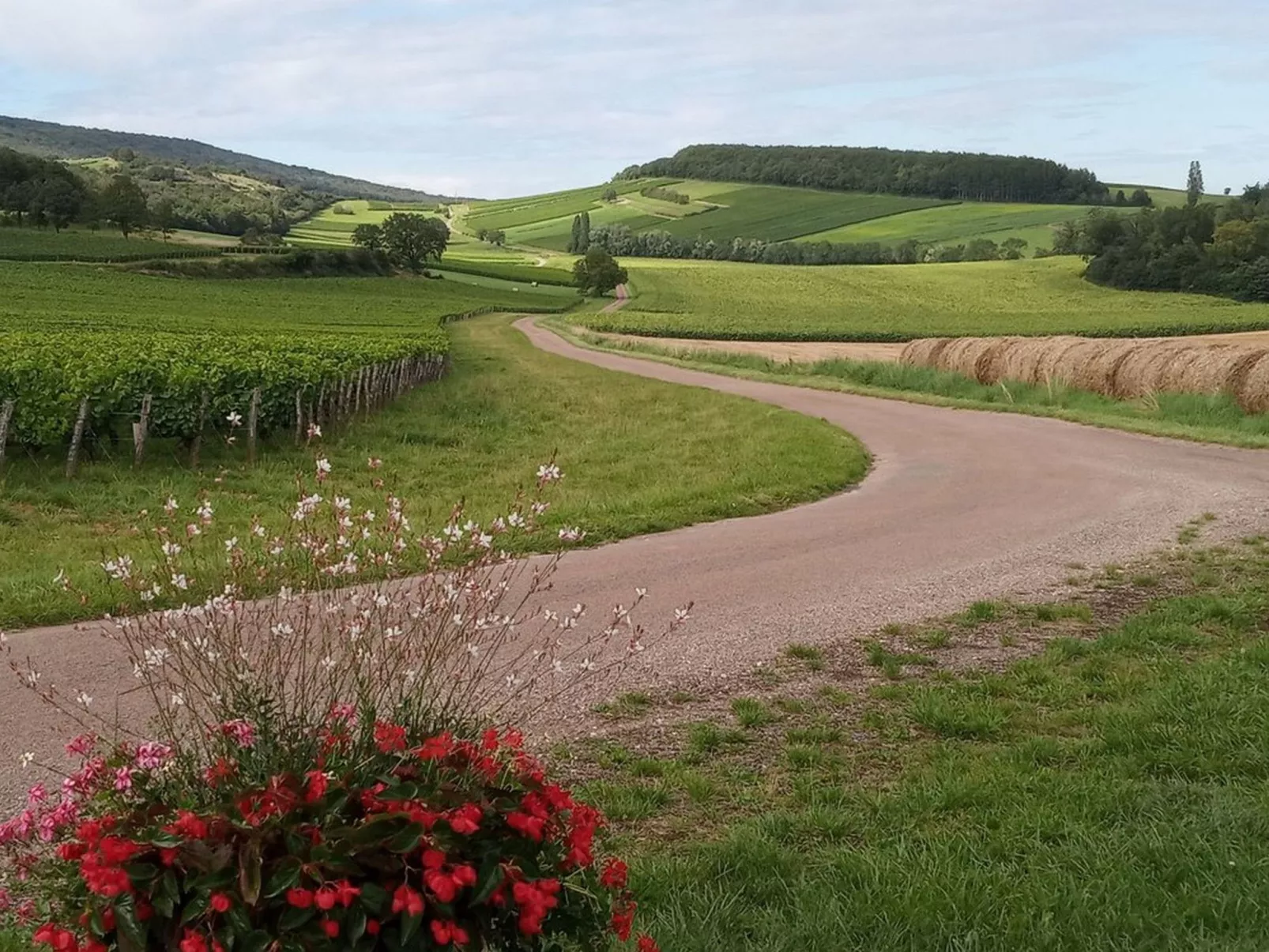 An der Weinstraße von Burgund-Buiten