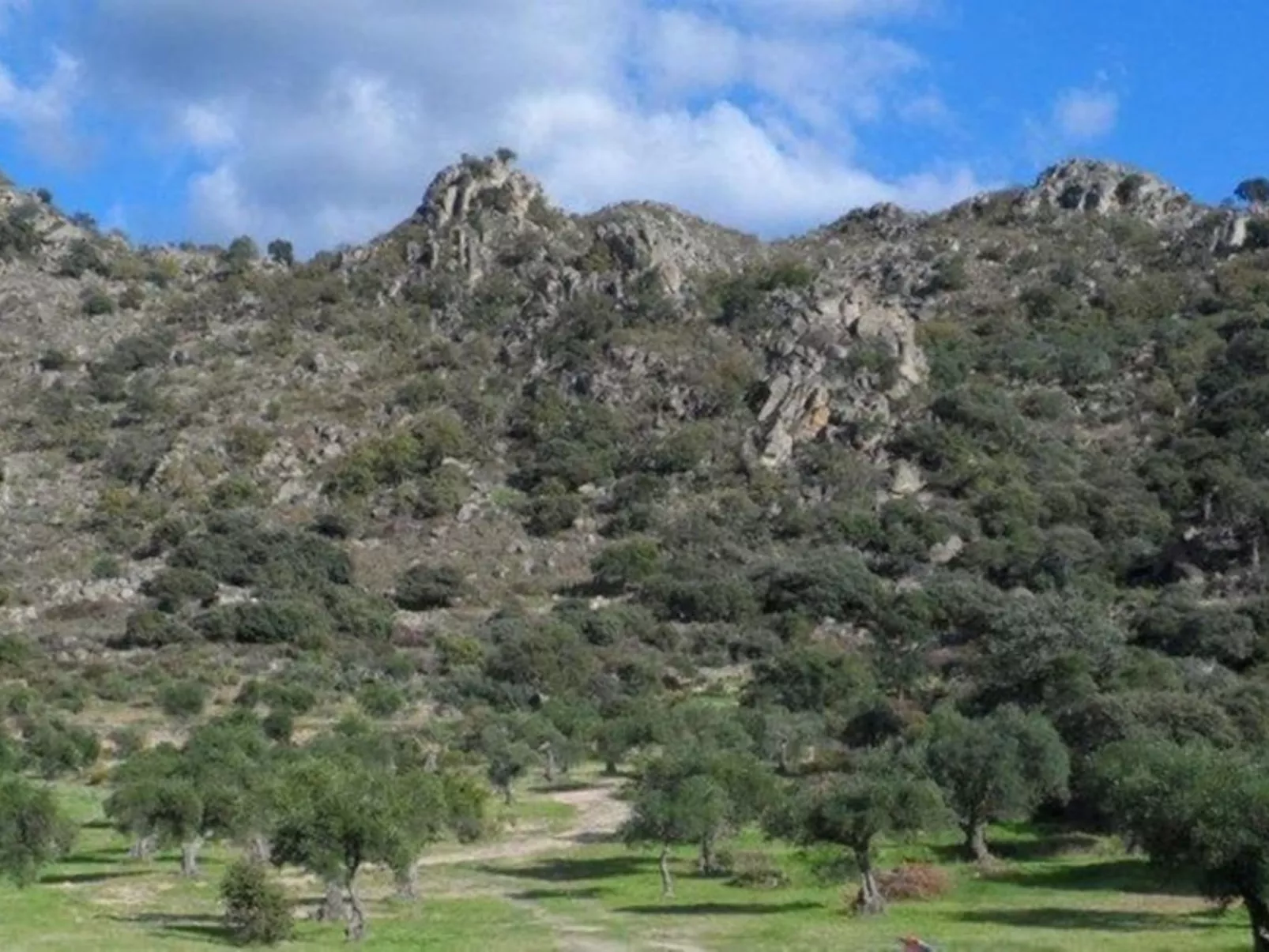 The Barn at Finca al-manzil-Image-tags.info