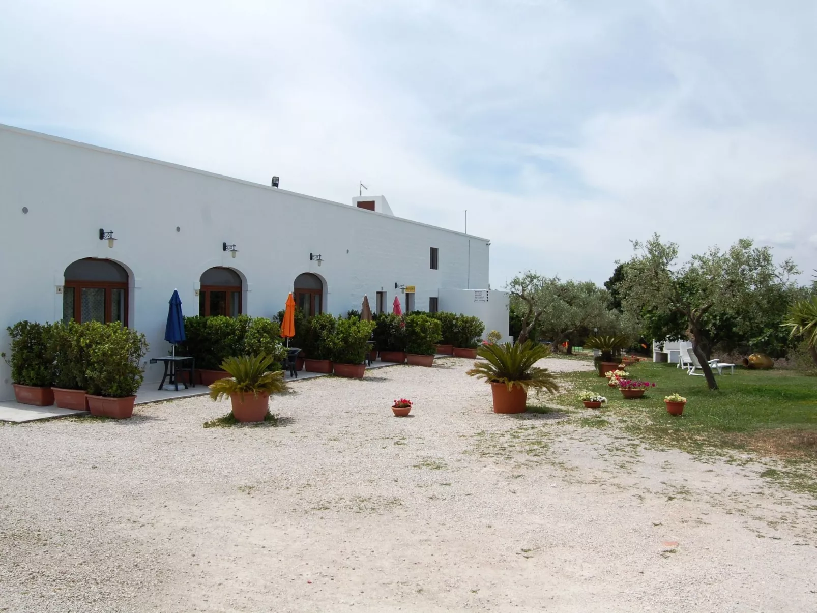 ARANCIONE-Image-tags.info