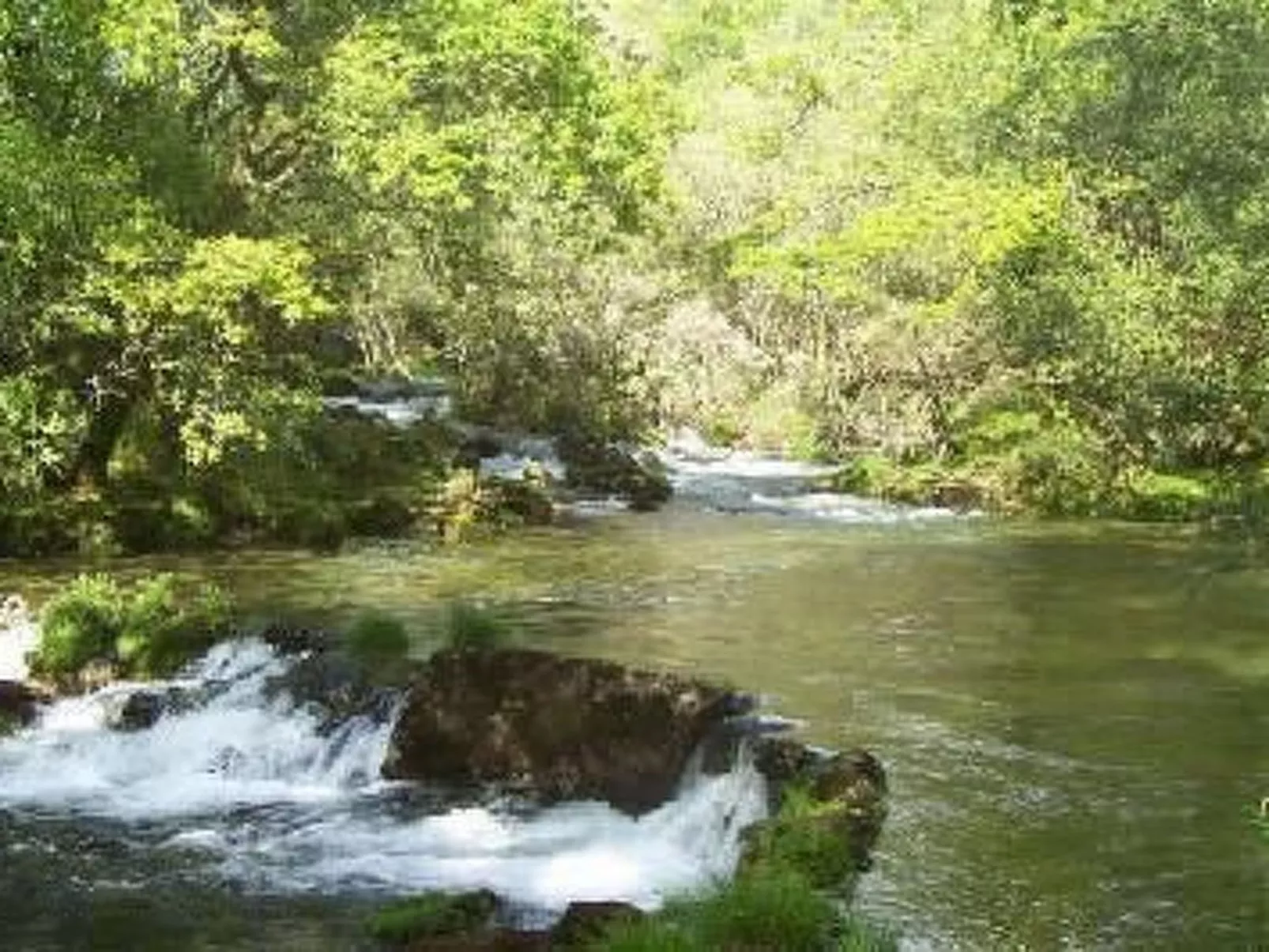 Finca "Casa do Portomartiño"-Buiten