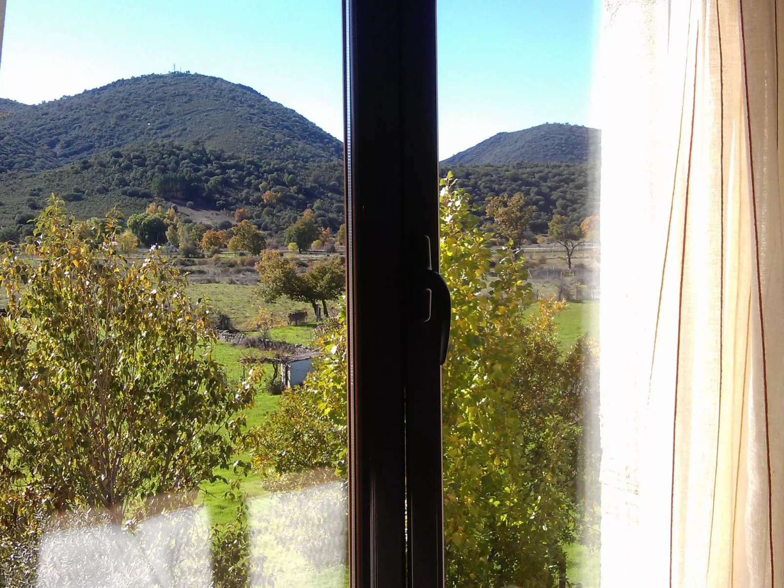 Mit privatem Pool-Image-tags.info