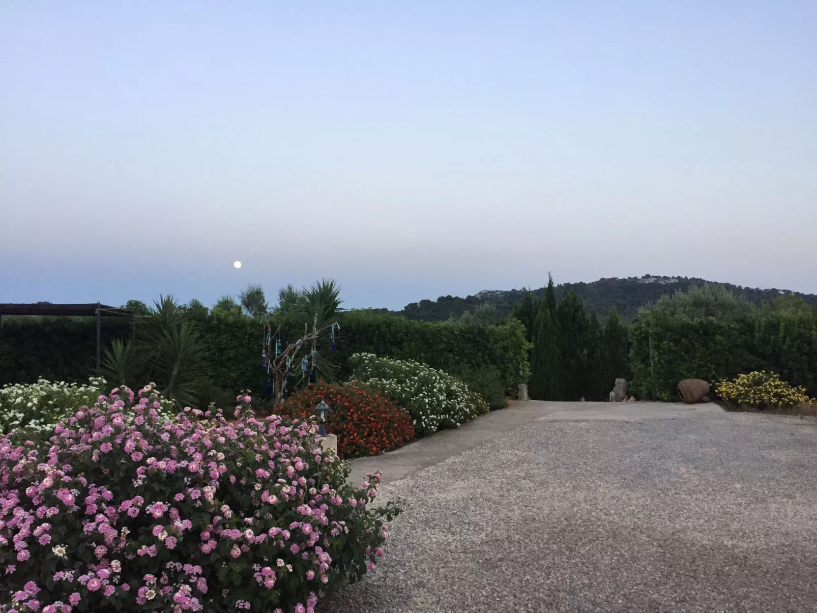 Juniorsuite-Image-tags.info