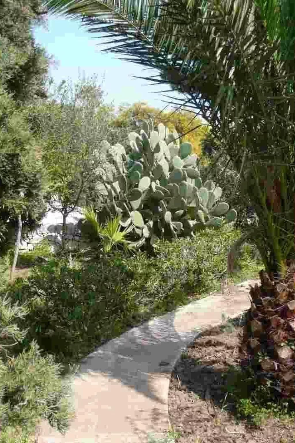 Villa Matilde: Kleine Ferienwohnung mit Meerblick-Buiten