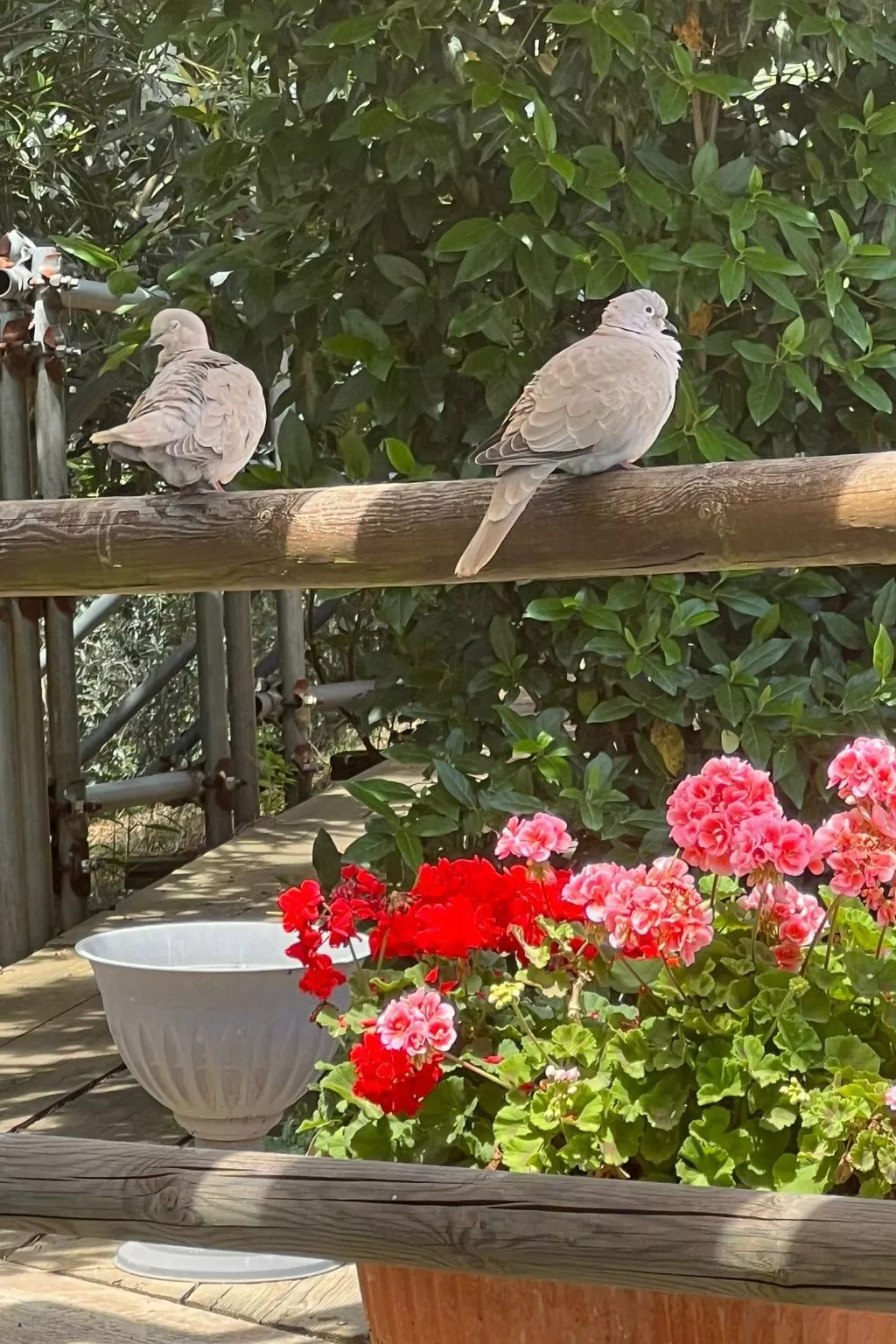 Ein-Zimmer-Wohnung in einem Bauernhaus-Buiten