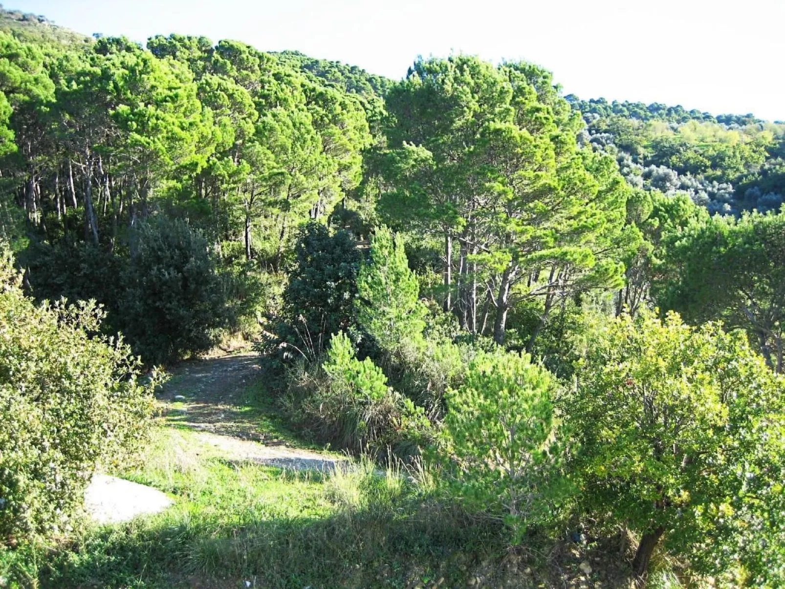 Top Ferienwohnung-Image-tags.info