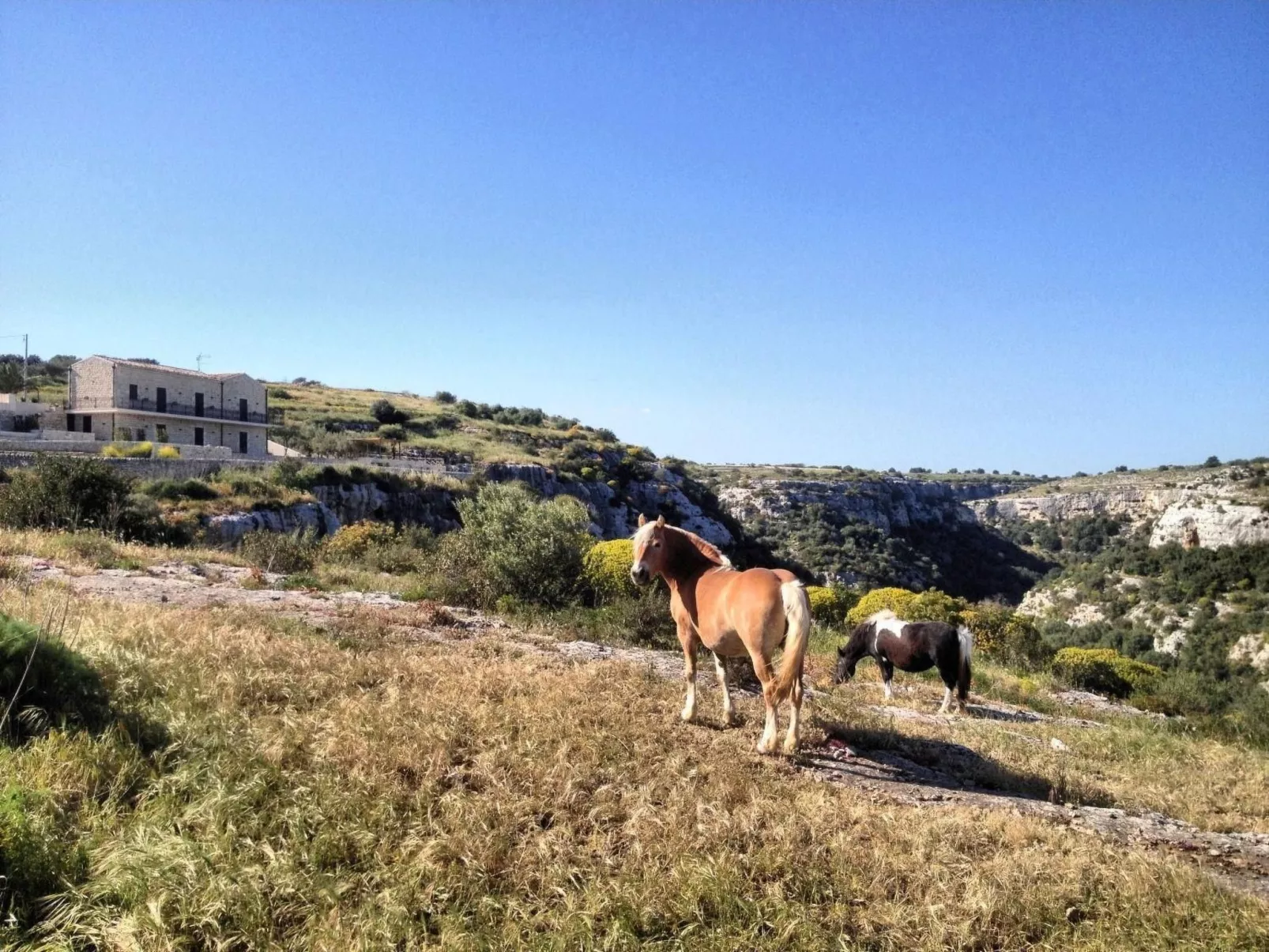 Komfortable Villa Castello - Blick auf Cava d'Ispica-Image-tags.info
