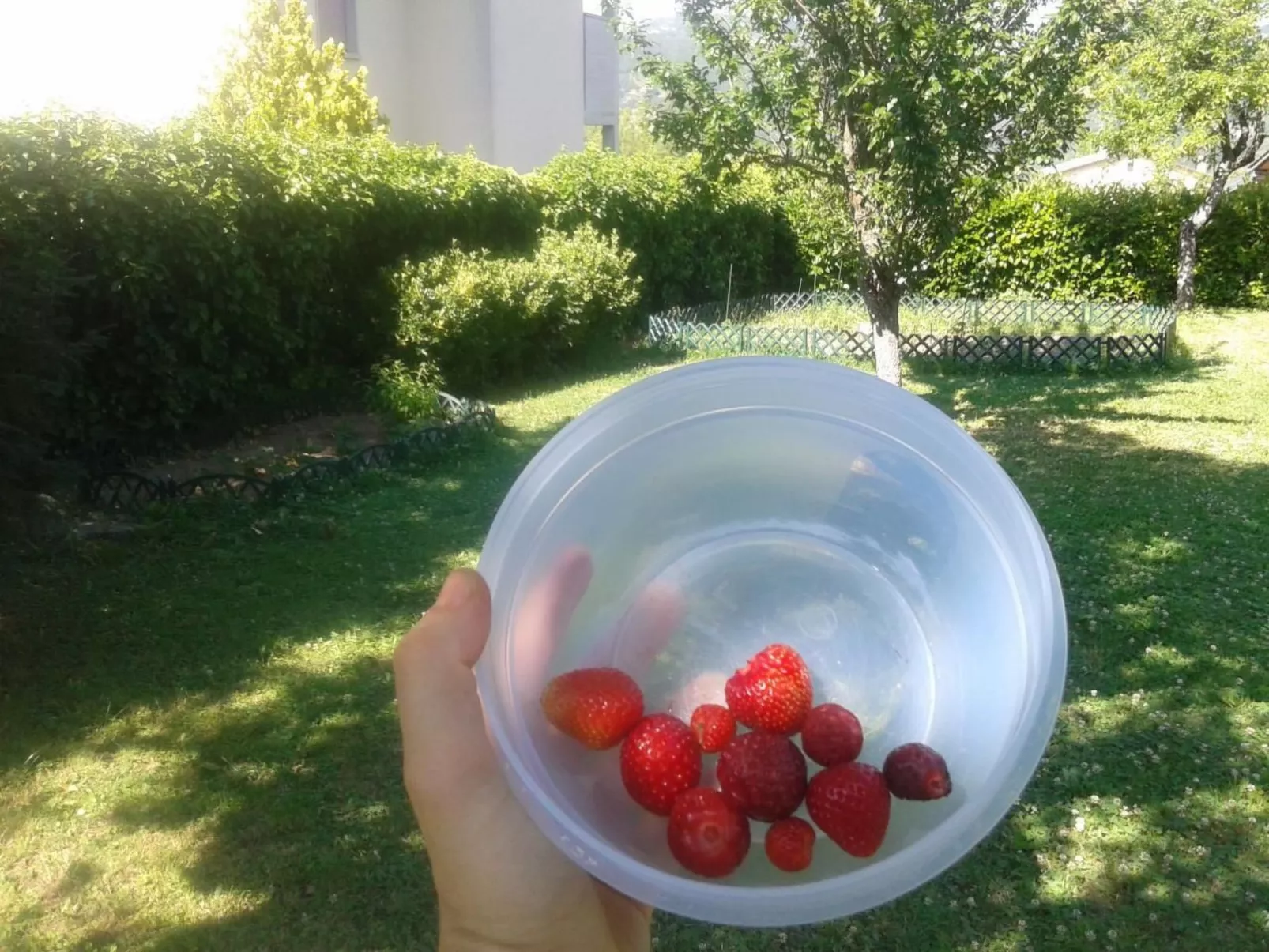 Toskana-Image-tags.info