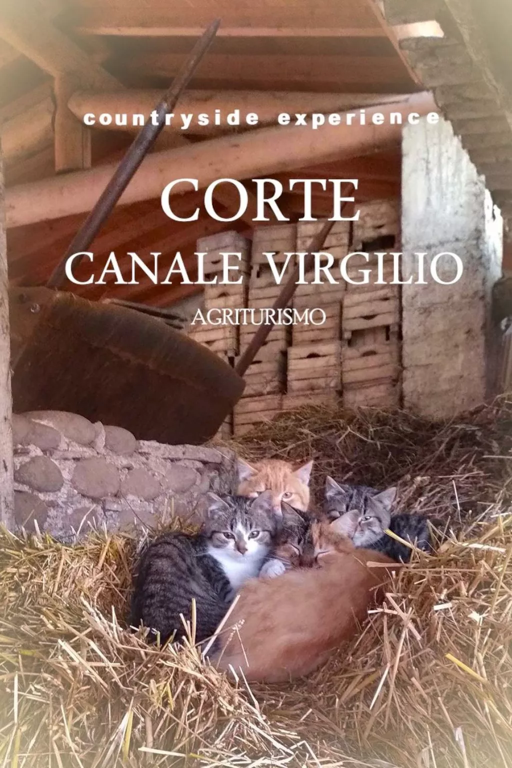 Das Landgut "Corte Canale Virgilio" mit Balkon-Buiten