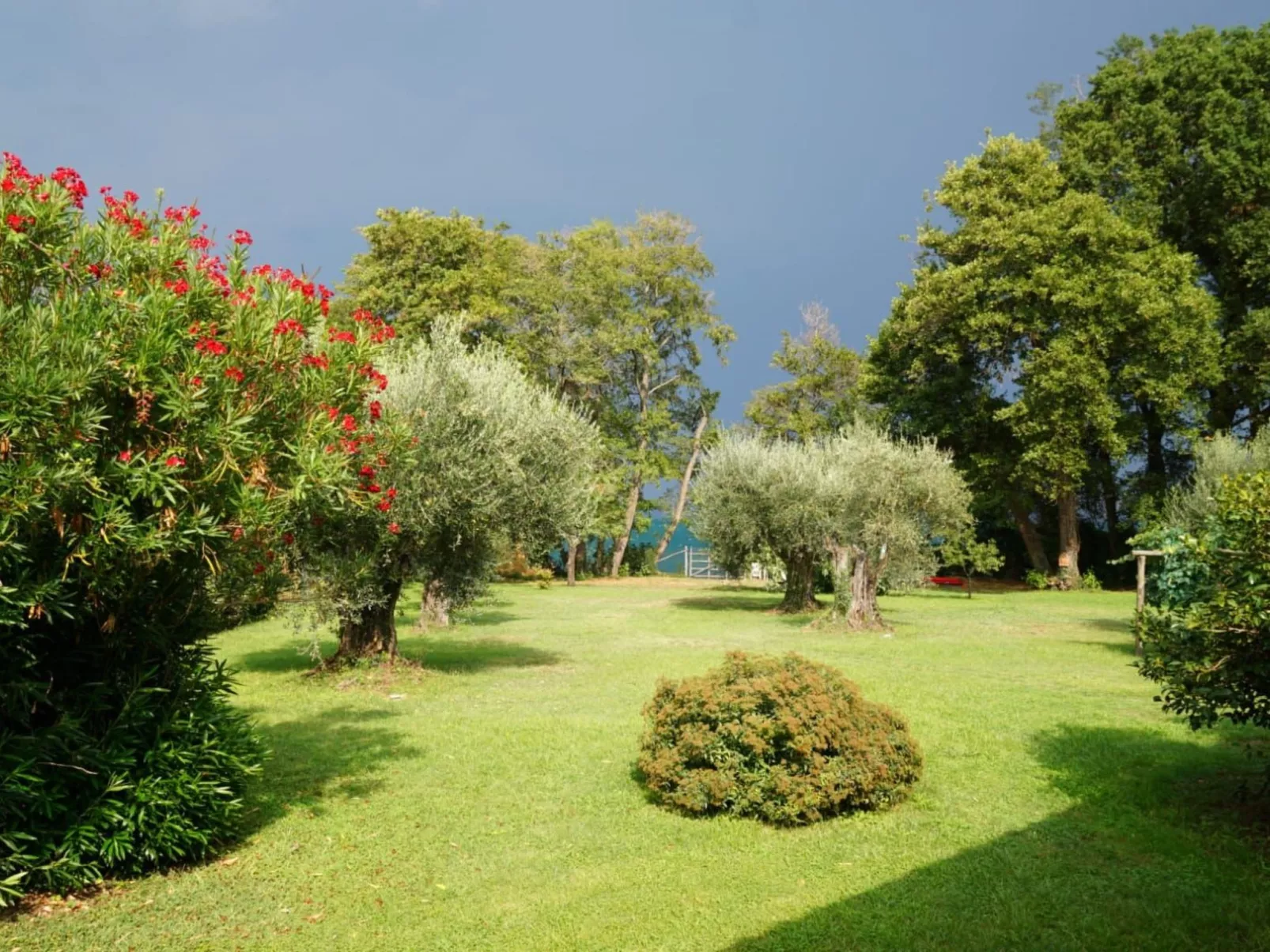 Mit Wasserblick-Image-tags.info