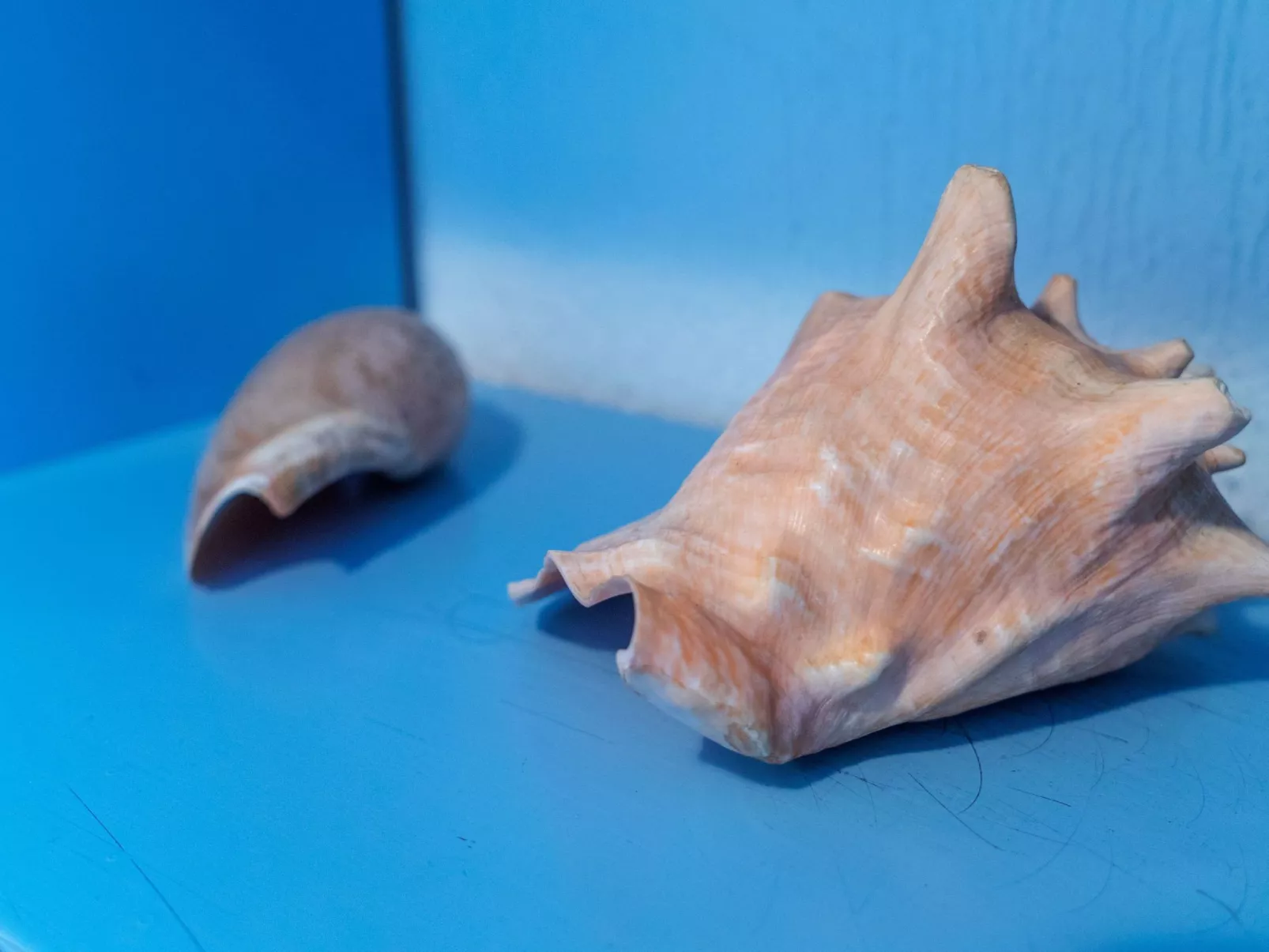 Mit Meerblick-Binnen