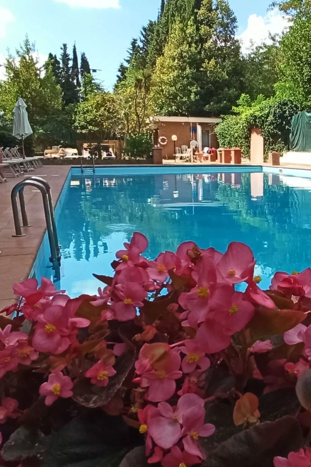 'Aurelia Antica Suite-Image-tags.info