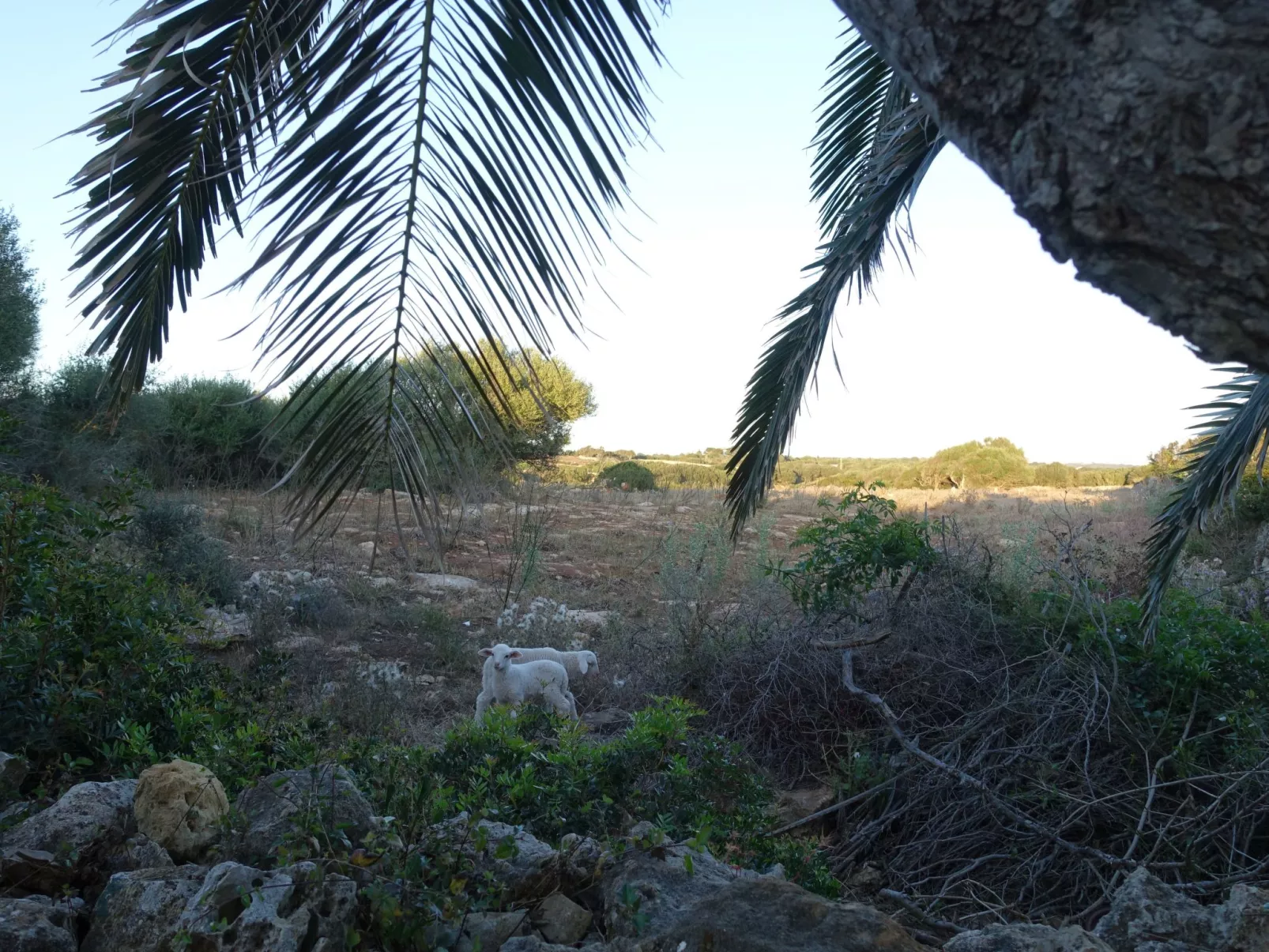 Casita Menorca Privé-Image-tags.info