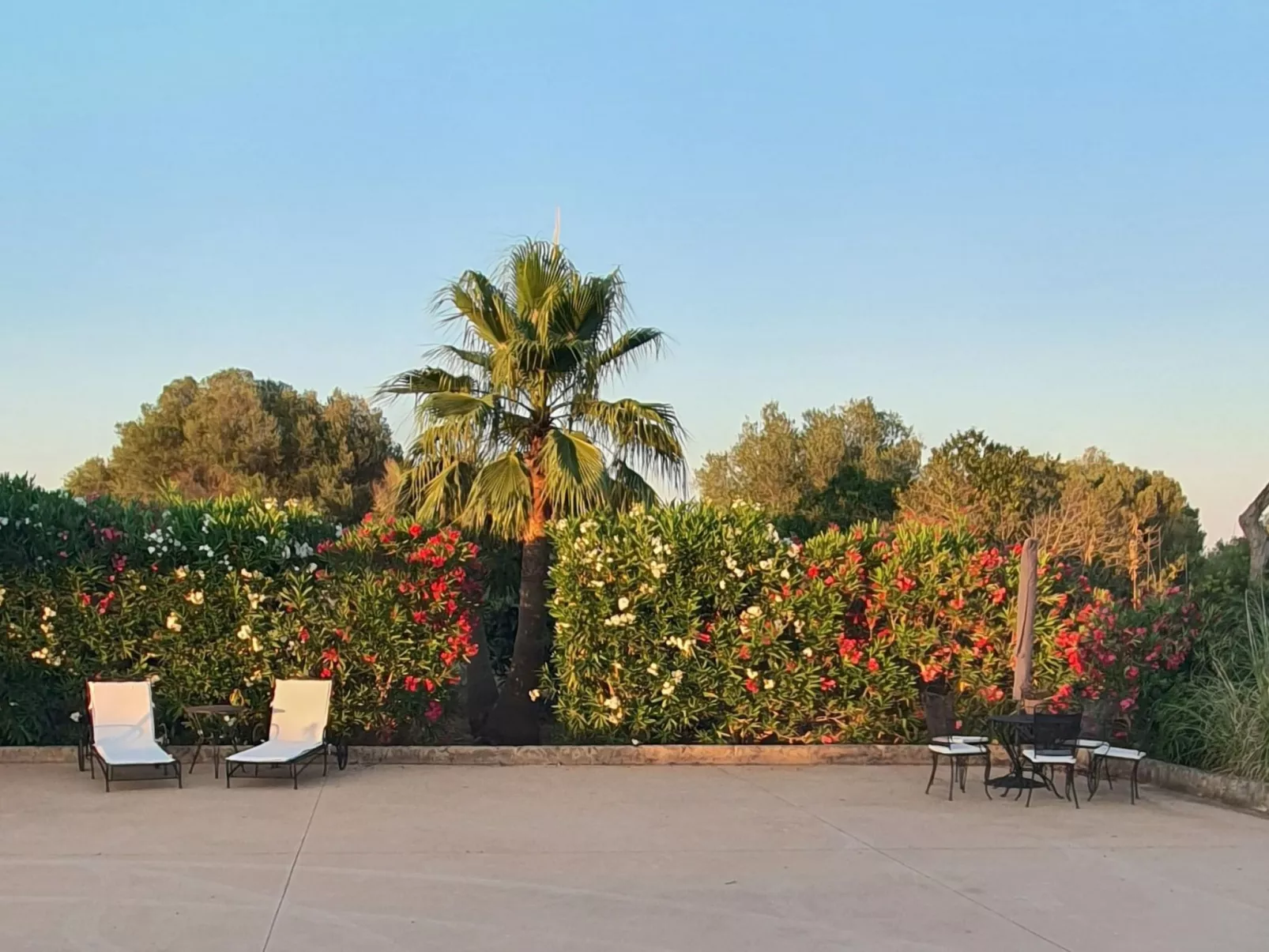 Sohn Fred, Campos-Buiten