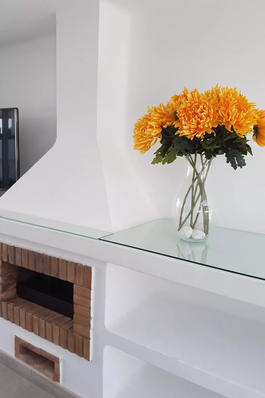 Widder vor dem Meer-Buiten