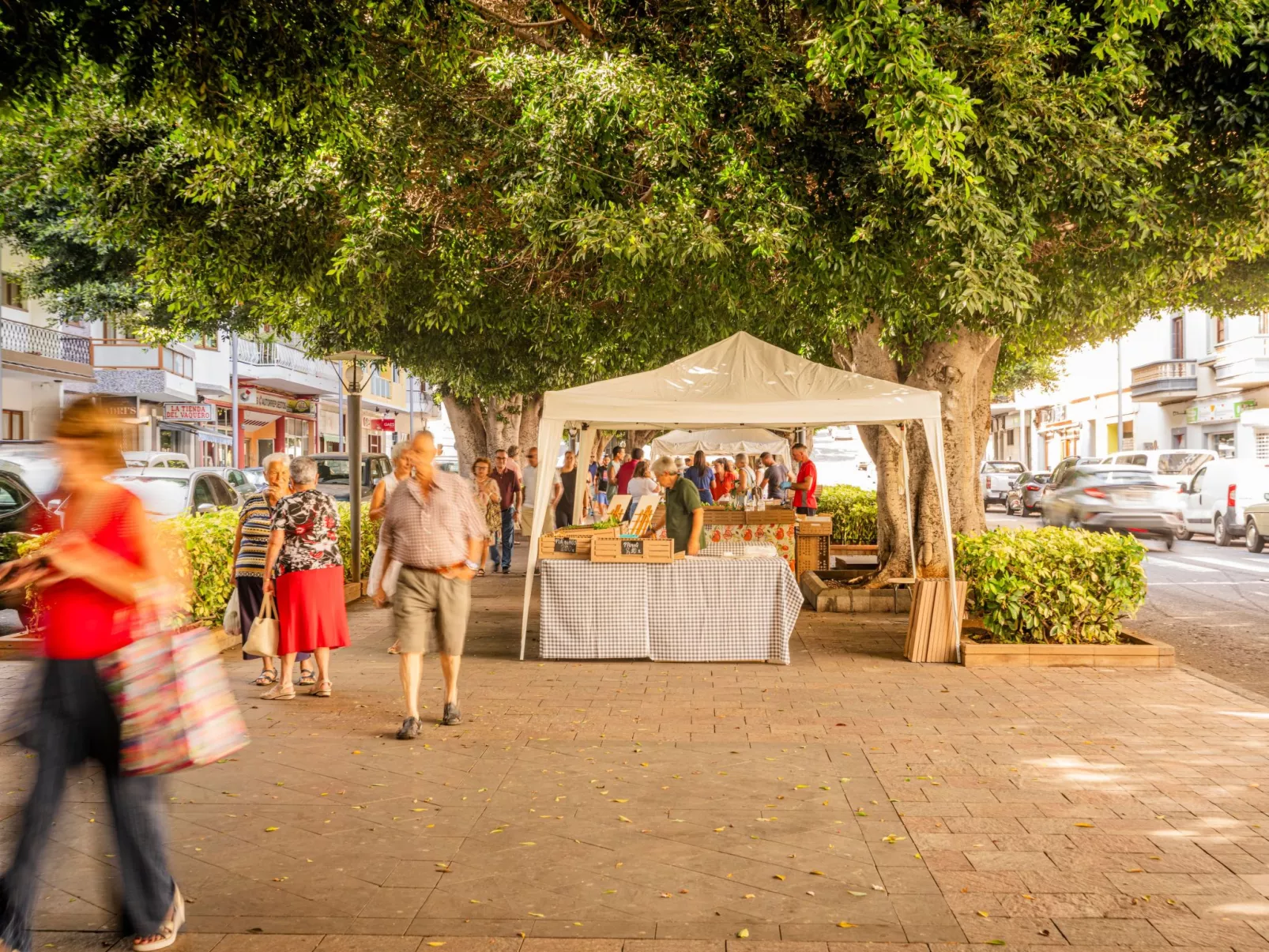 CHL La Placeta, Haus in Los Llanos de Aridane-Image-tags.info