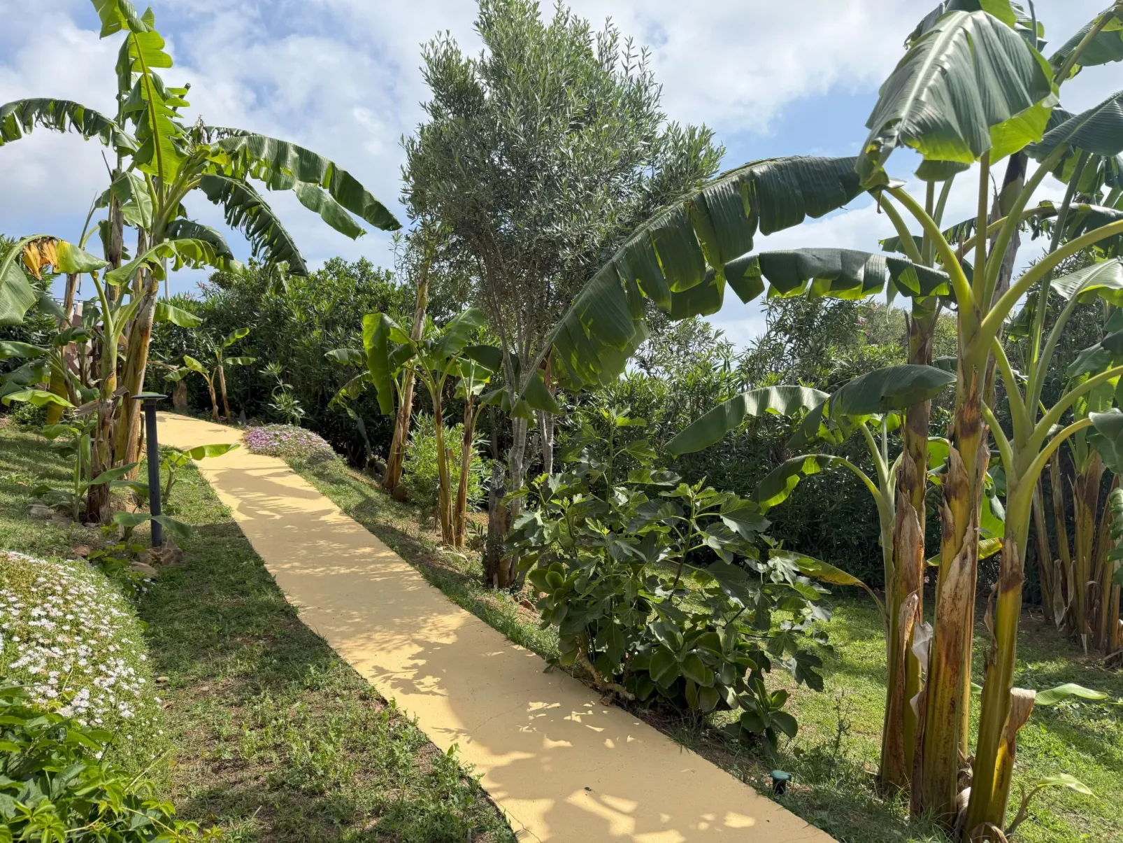 Villa in Banani-Buiten