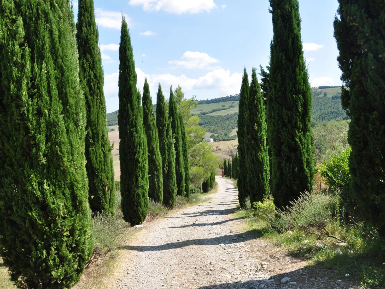Bauernhof "Cetona-Buiten