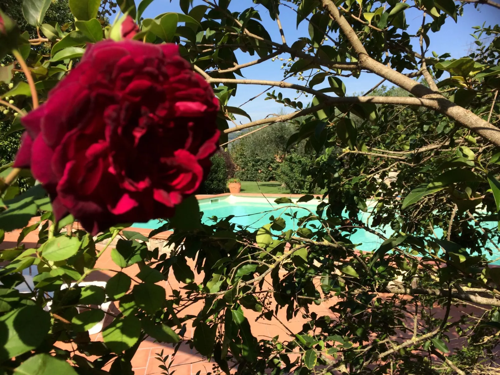 Villa mit privatem Pool 70 Kilometer von Rom entfernt-Image-tags.info