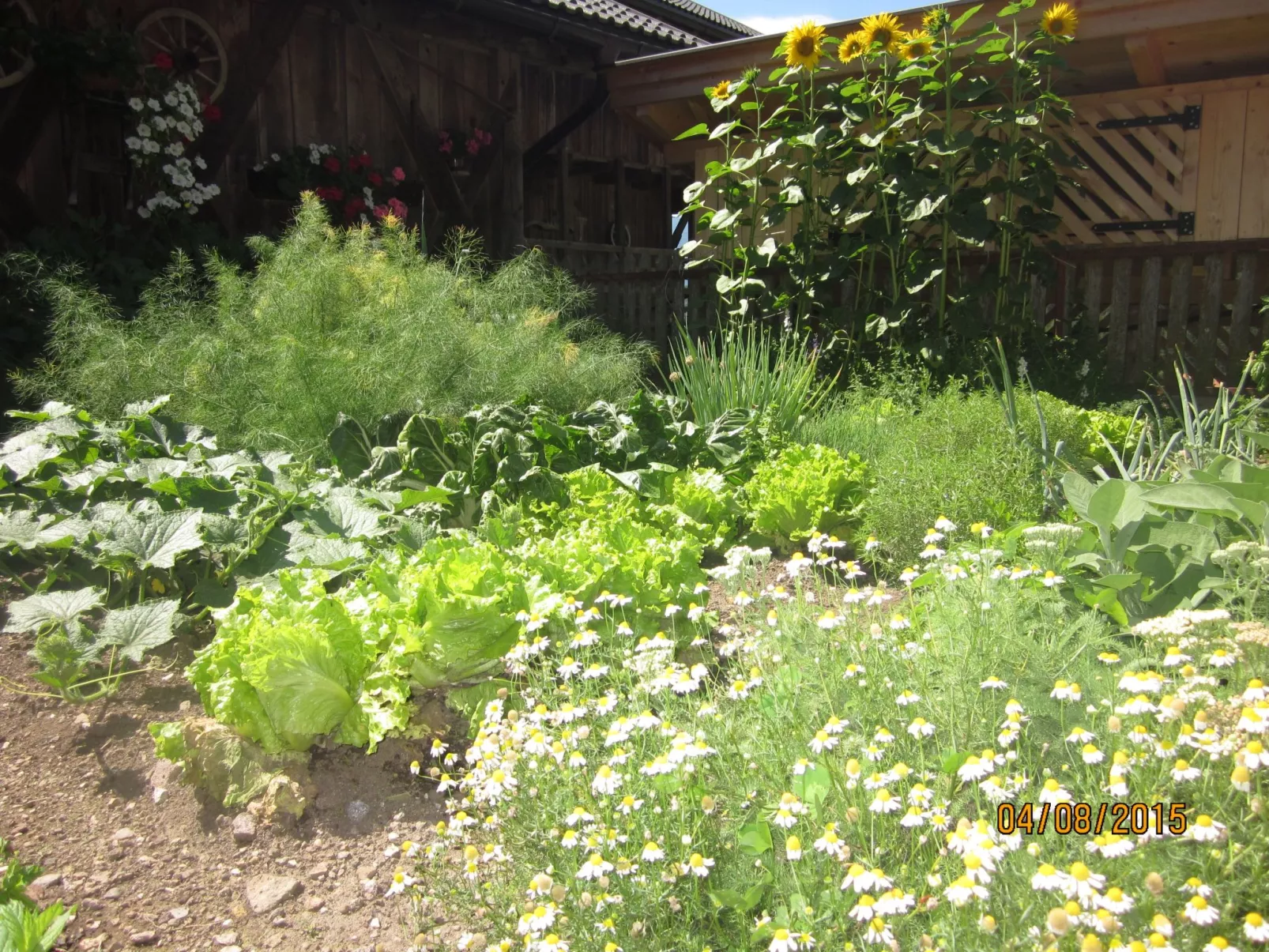 Kompatscherhof-Buiten