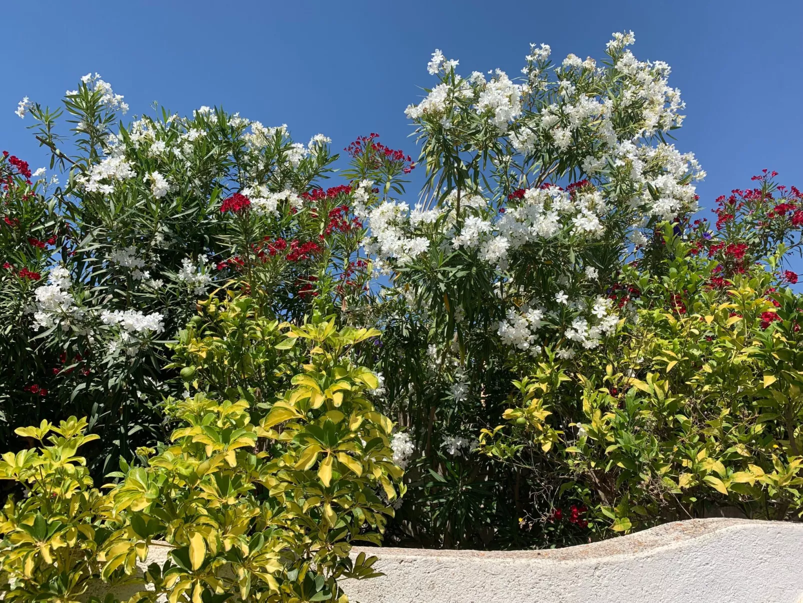 CASA  BENIMEIT-Buiten