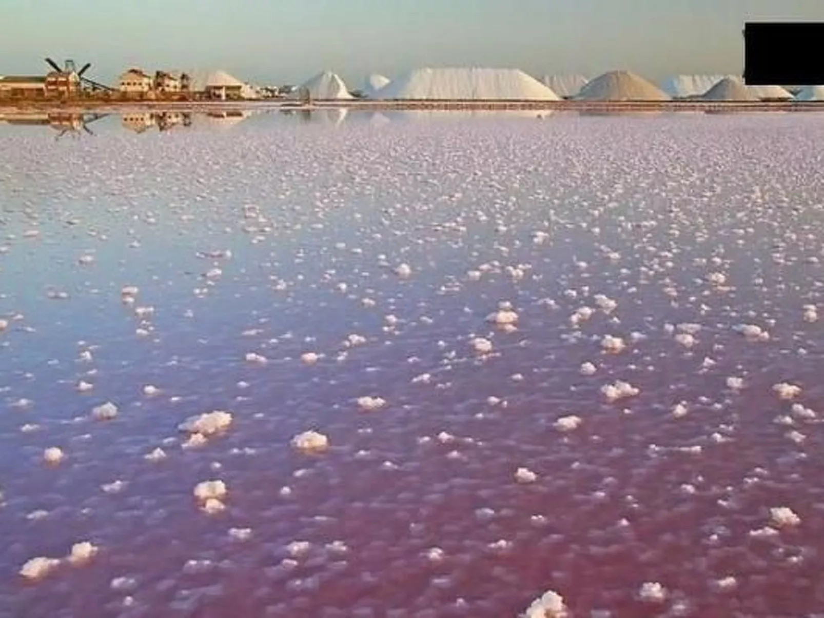 "Yovalu1" mit Balkon-Buiten