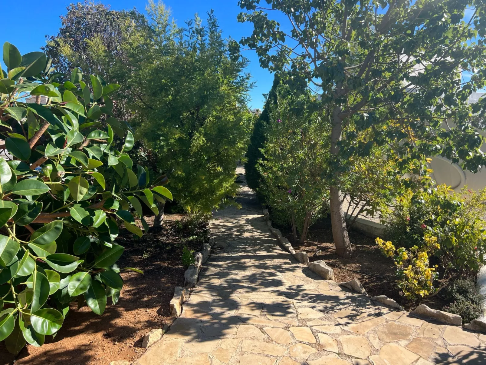 Schicker Bungalow in extrem ruhiger Lage und doch zentral gelegen-Buiten