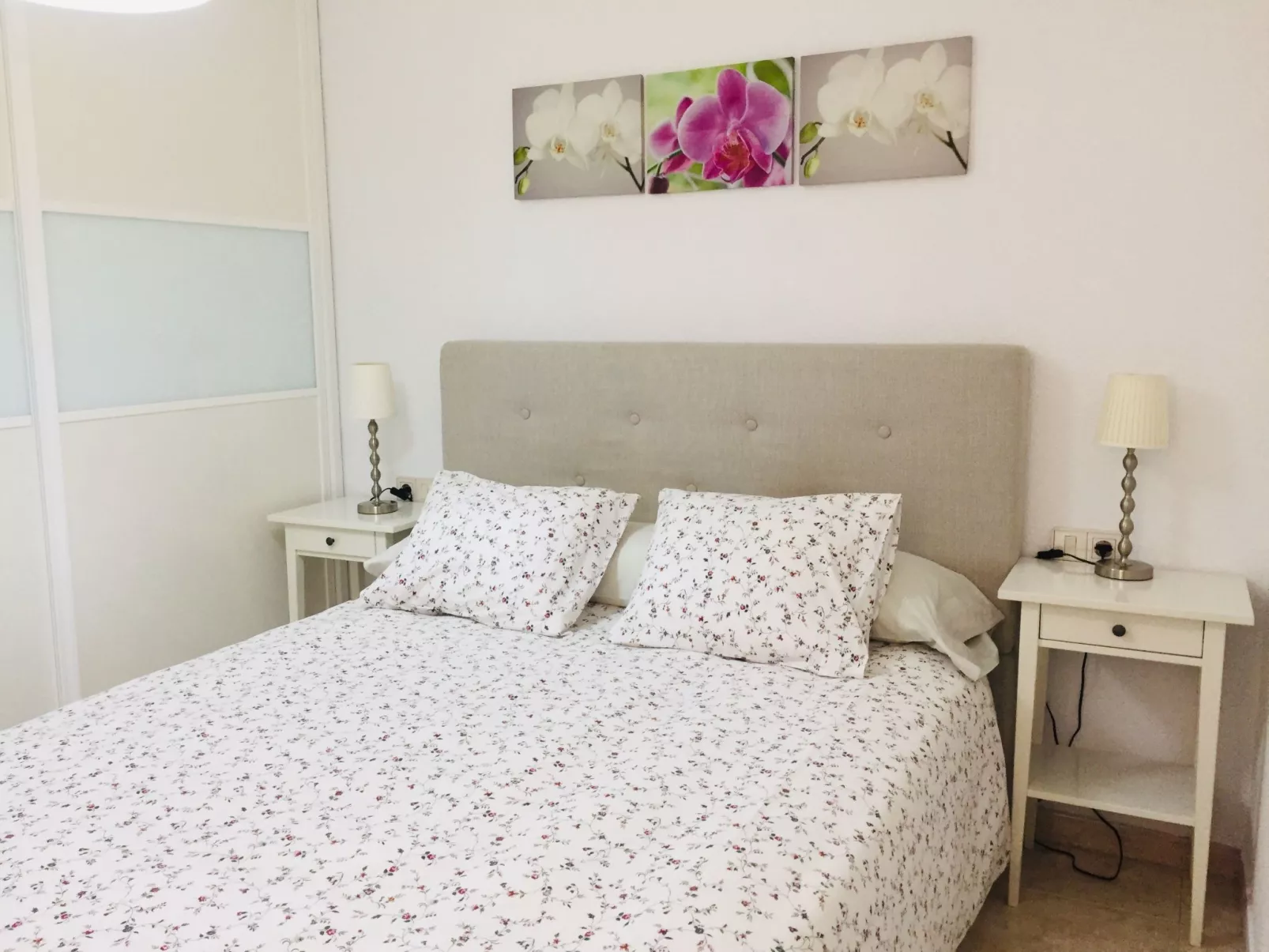 Tajinaste SOL-Binnen