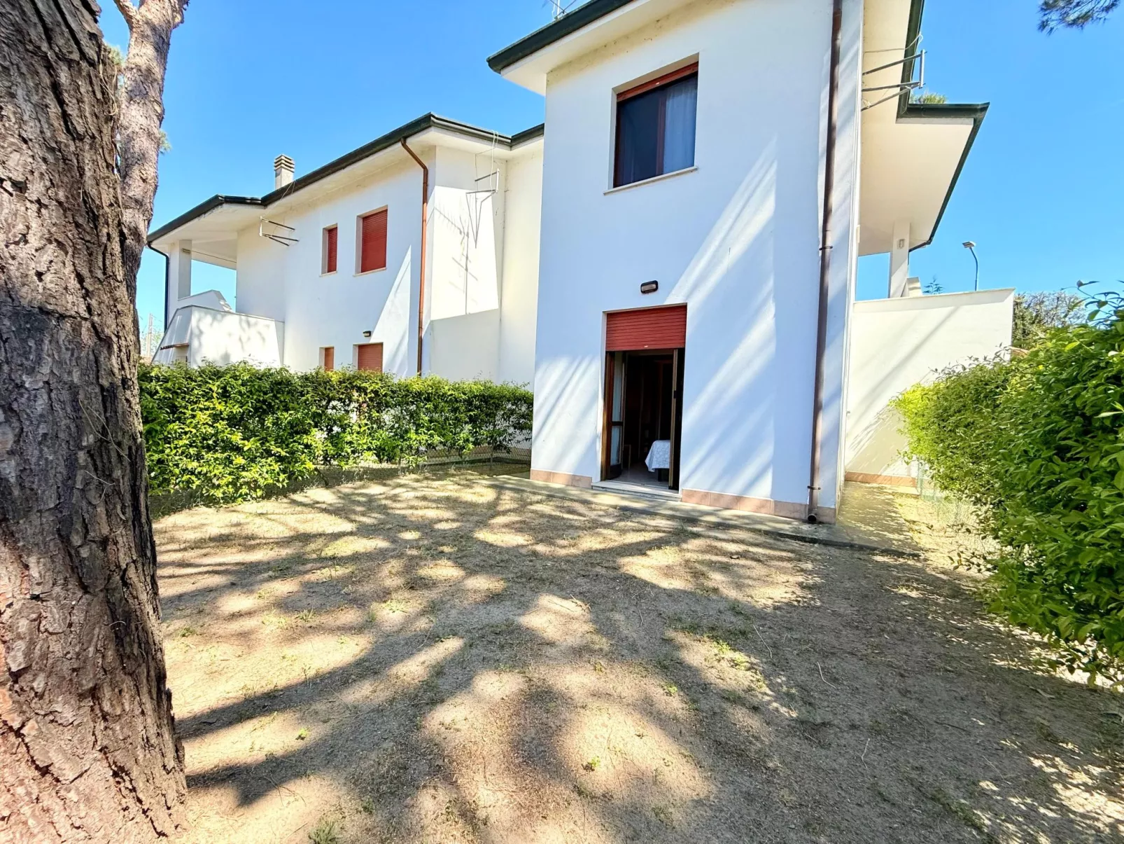 PINO 2-Image-tags.info