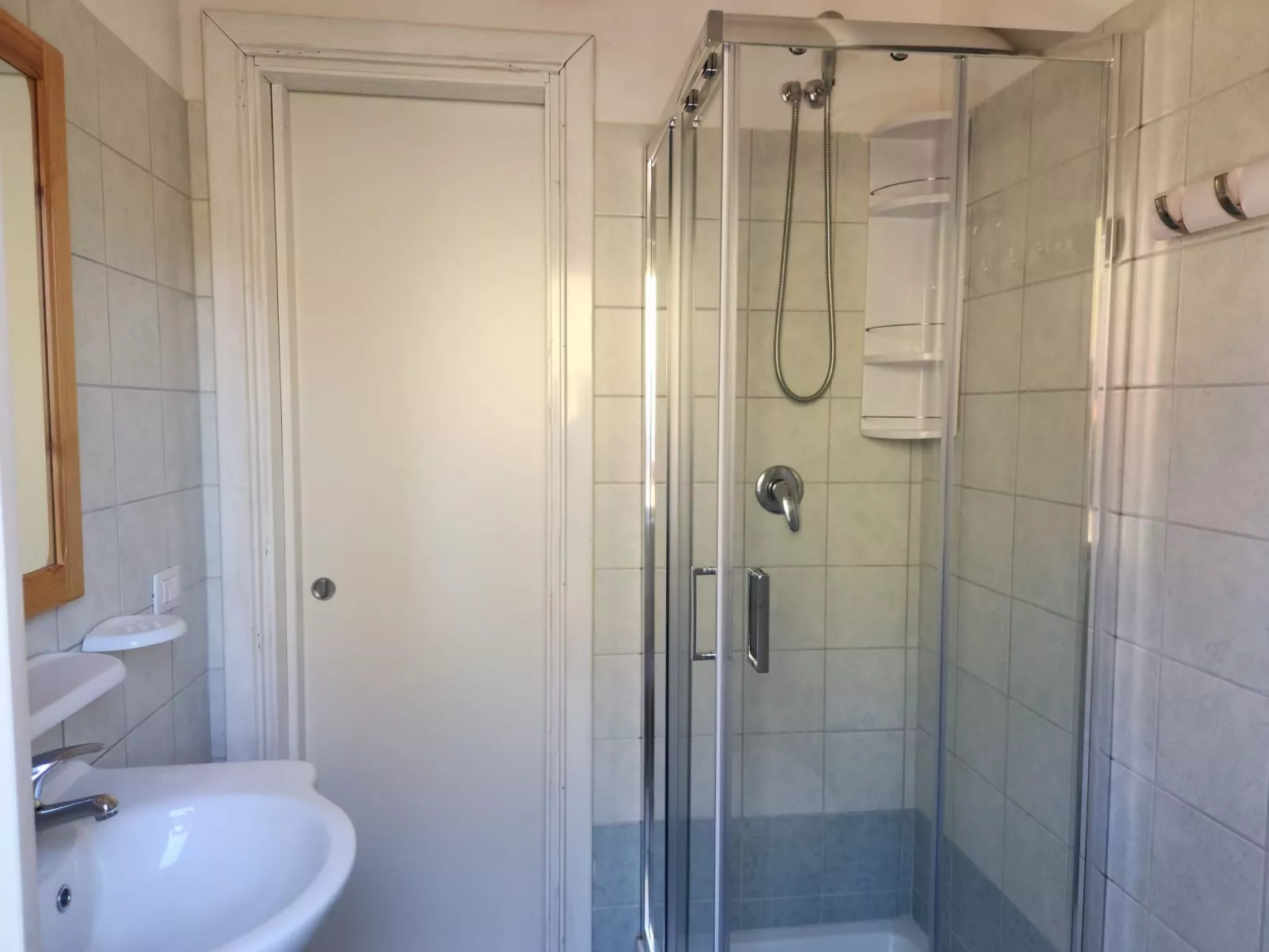 Bilo mimosa-Image-tags.info