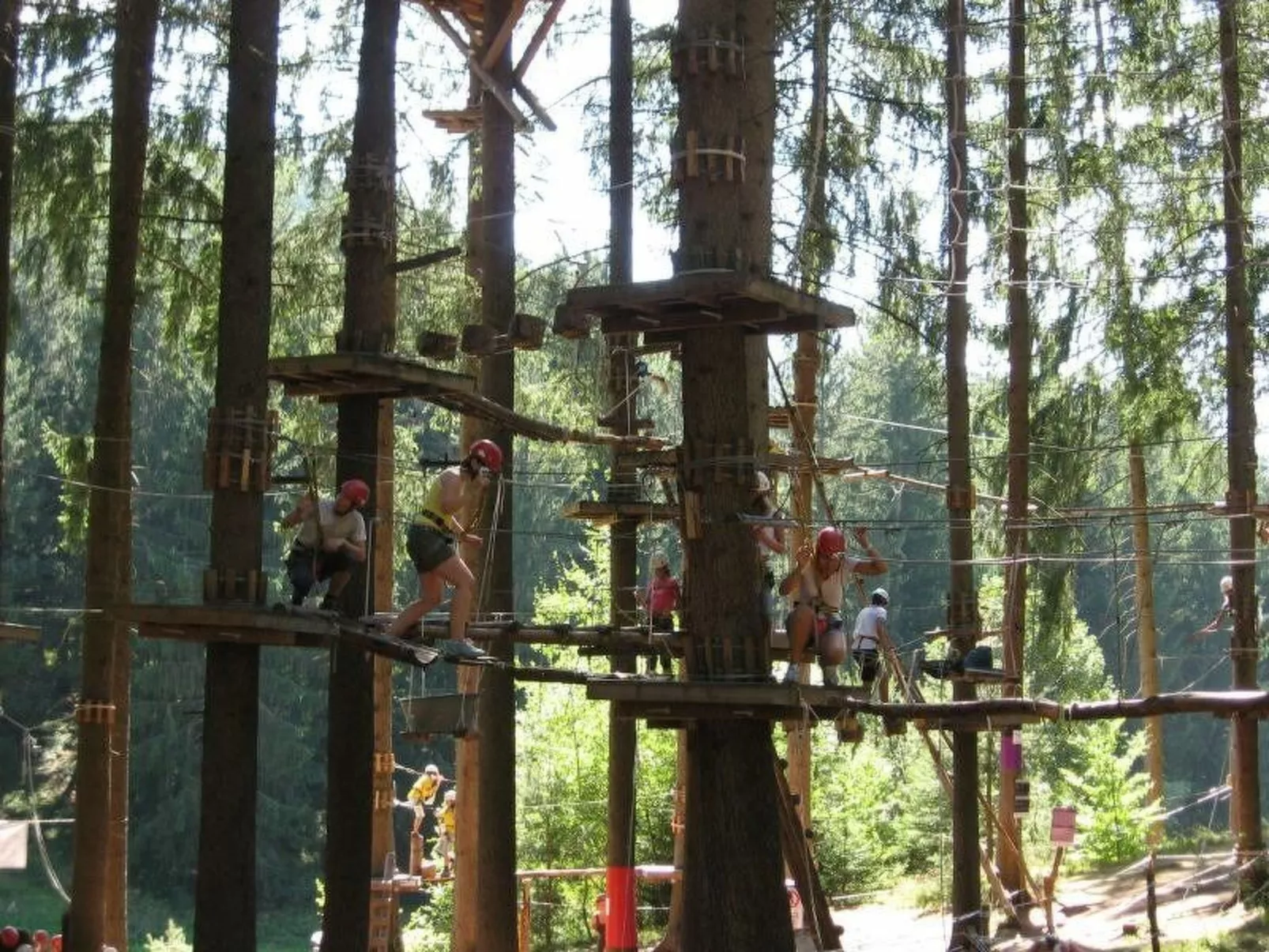 Alpenrose-Image-tags.info