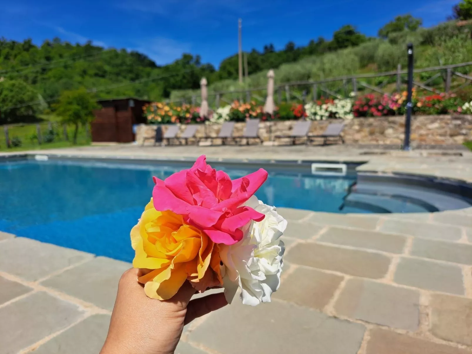 Agriturismo Poggio del Fabbro-Buiten