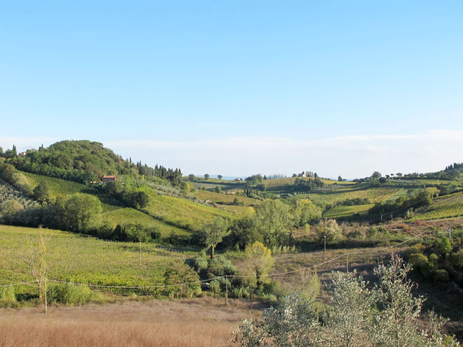 Wohnung Fiesole - Omgeving