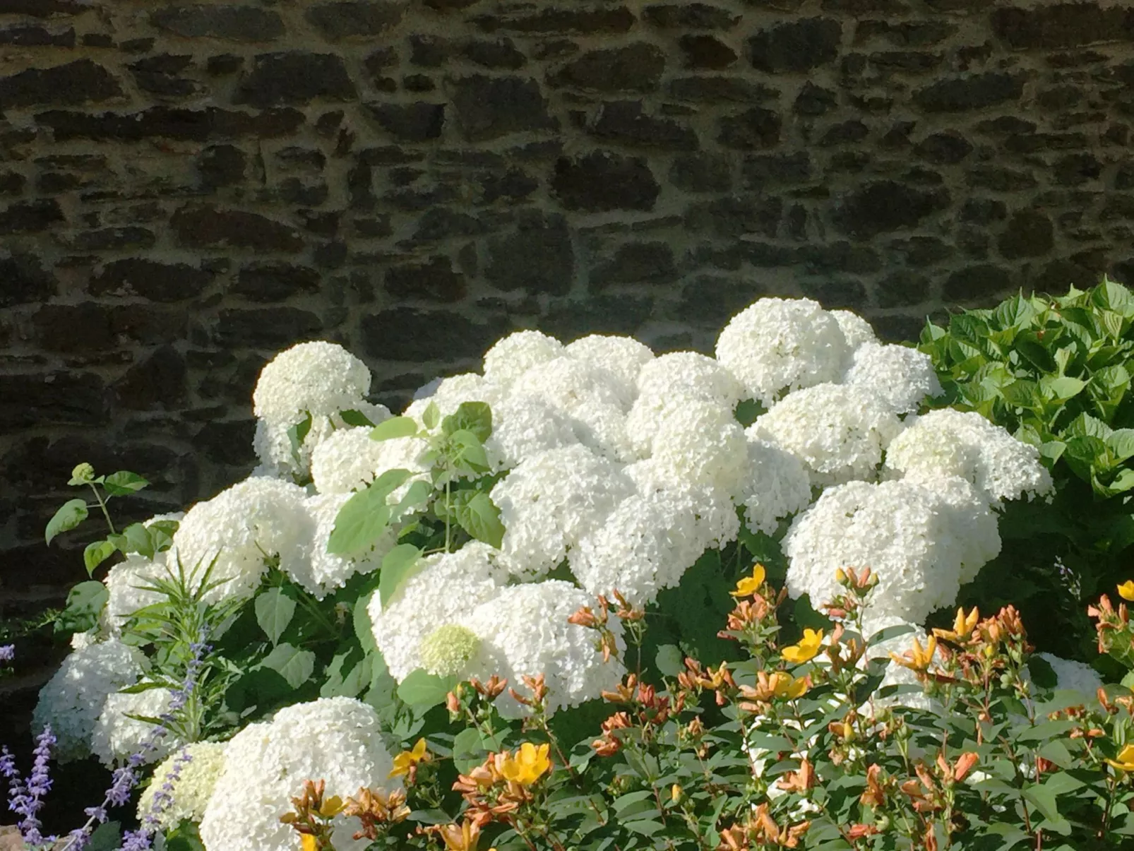 Anwesen mit Terrasse-Buiten
