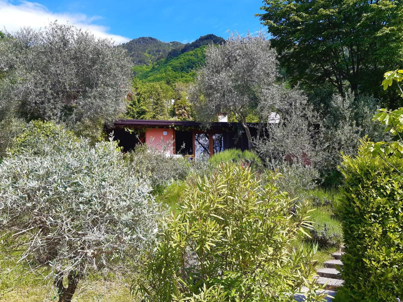 Oliveto Tignale-Buiten