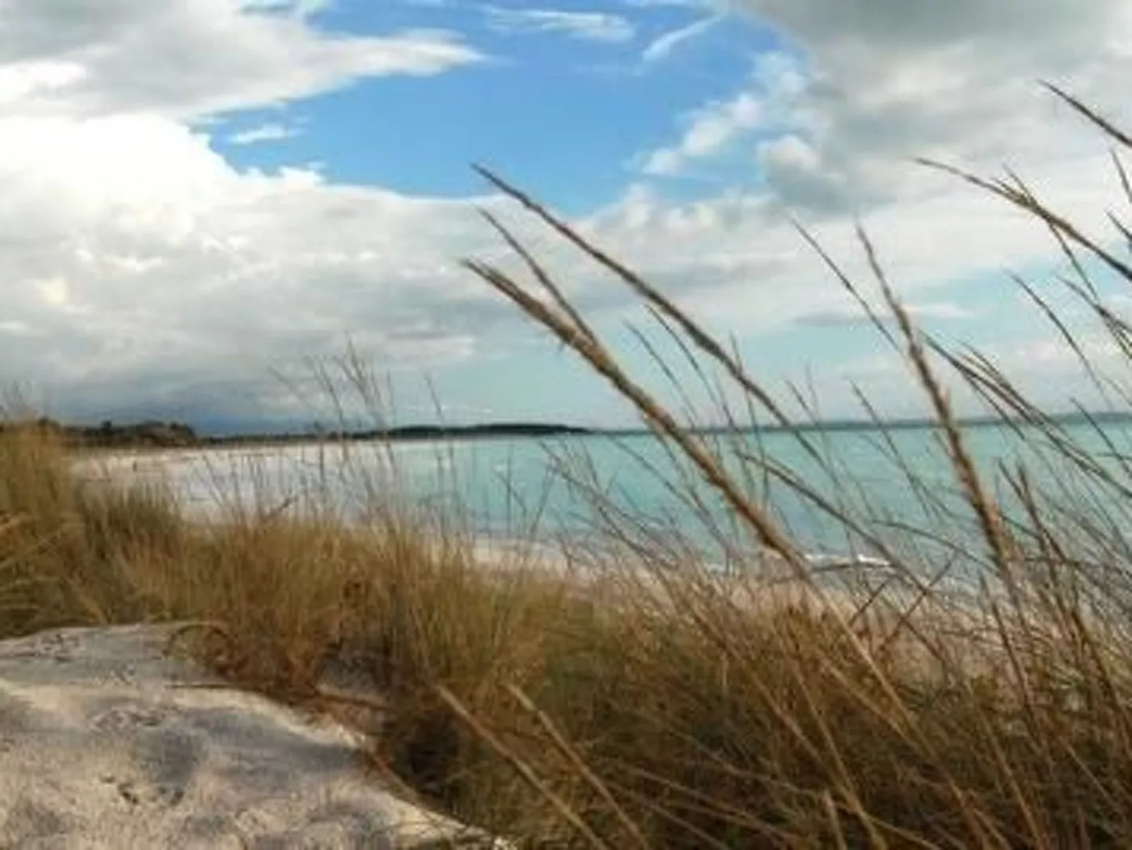 In Montescudaio mit Großem Garten-Buiten