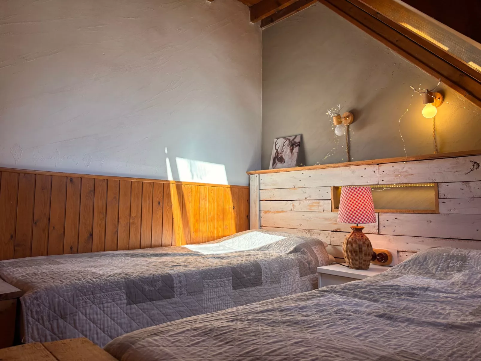 "Herbasabina 4".-Binnen