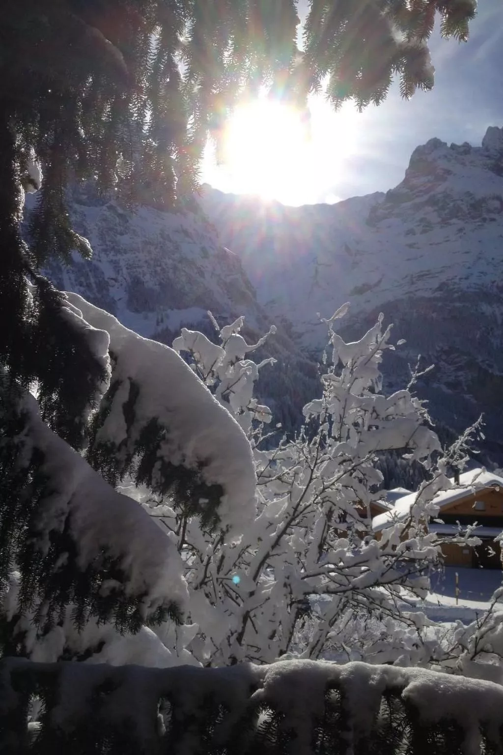 Chalet Mislin, Grindelwald direkte Bergsicht-Buiten