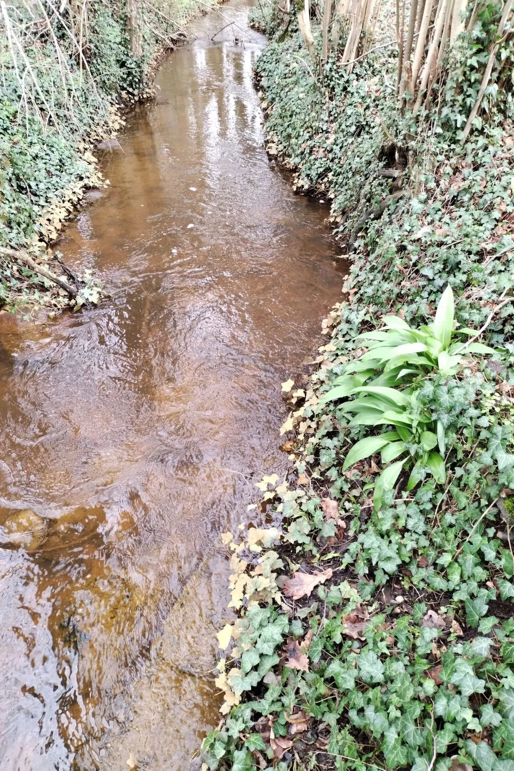 Itzinger-Image-tags.info