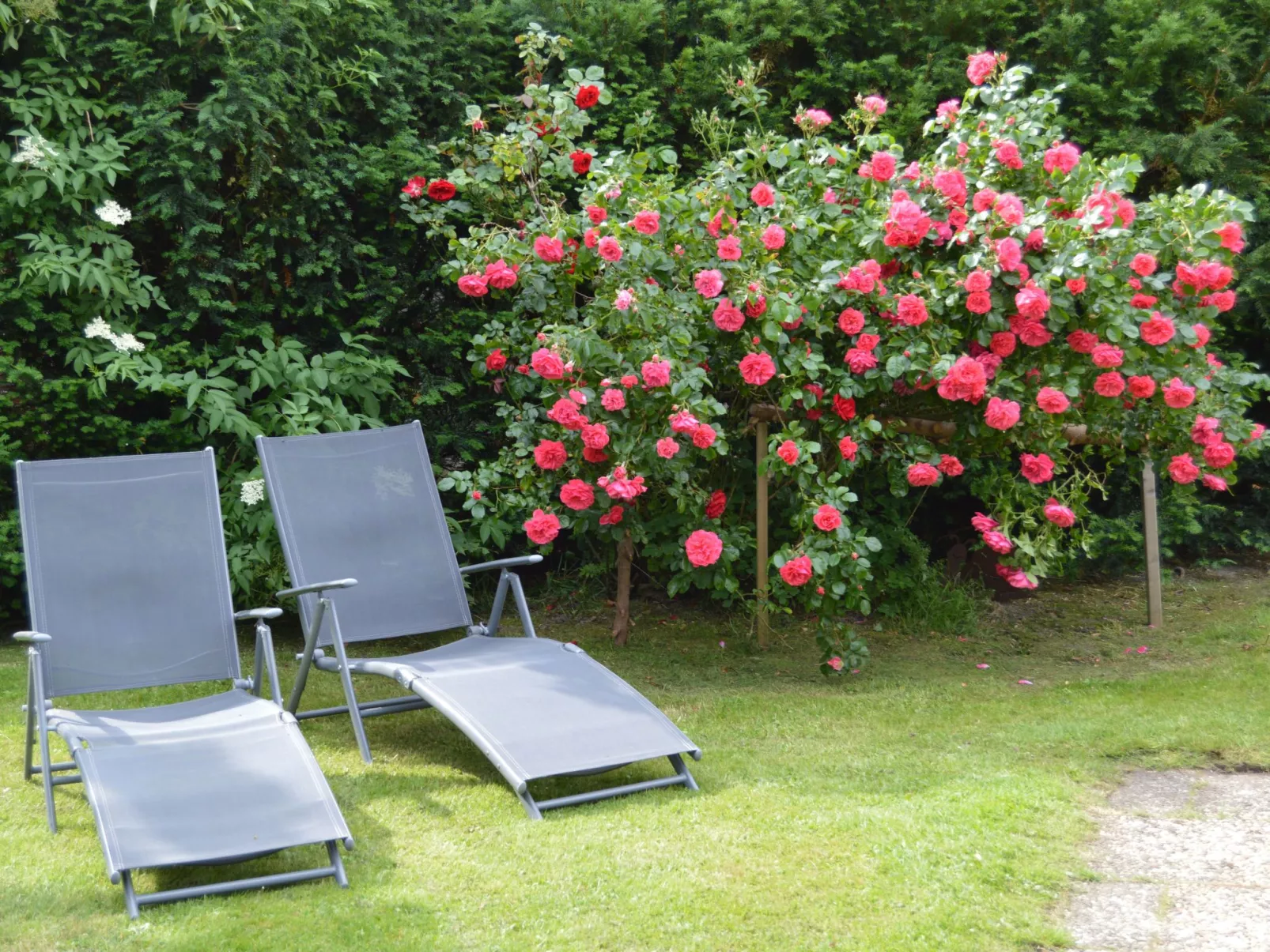 Deichhuus - ruhig am Feldrand in Sackgassenlage-Buiten